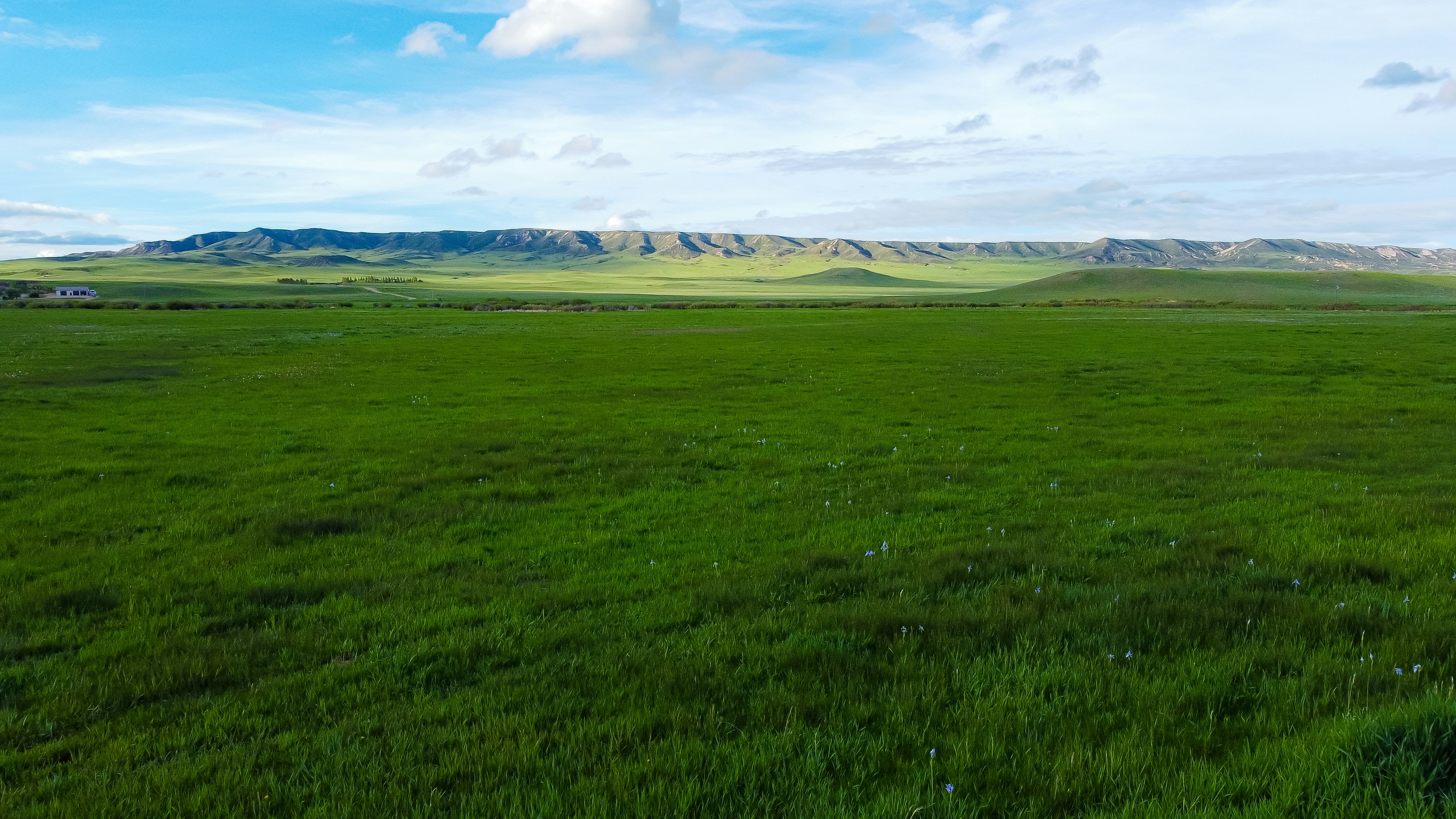 Photo by coltonsturgeon