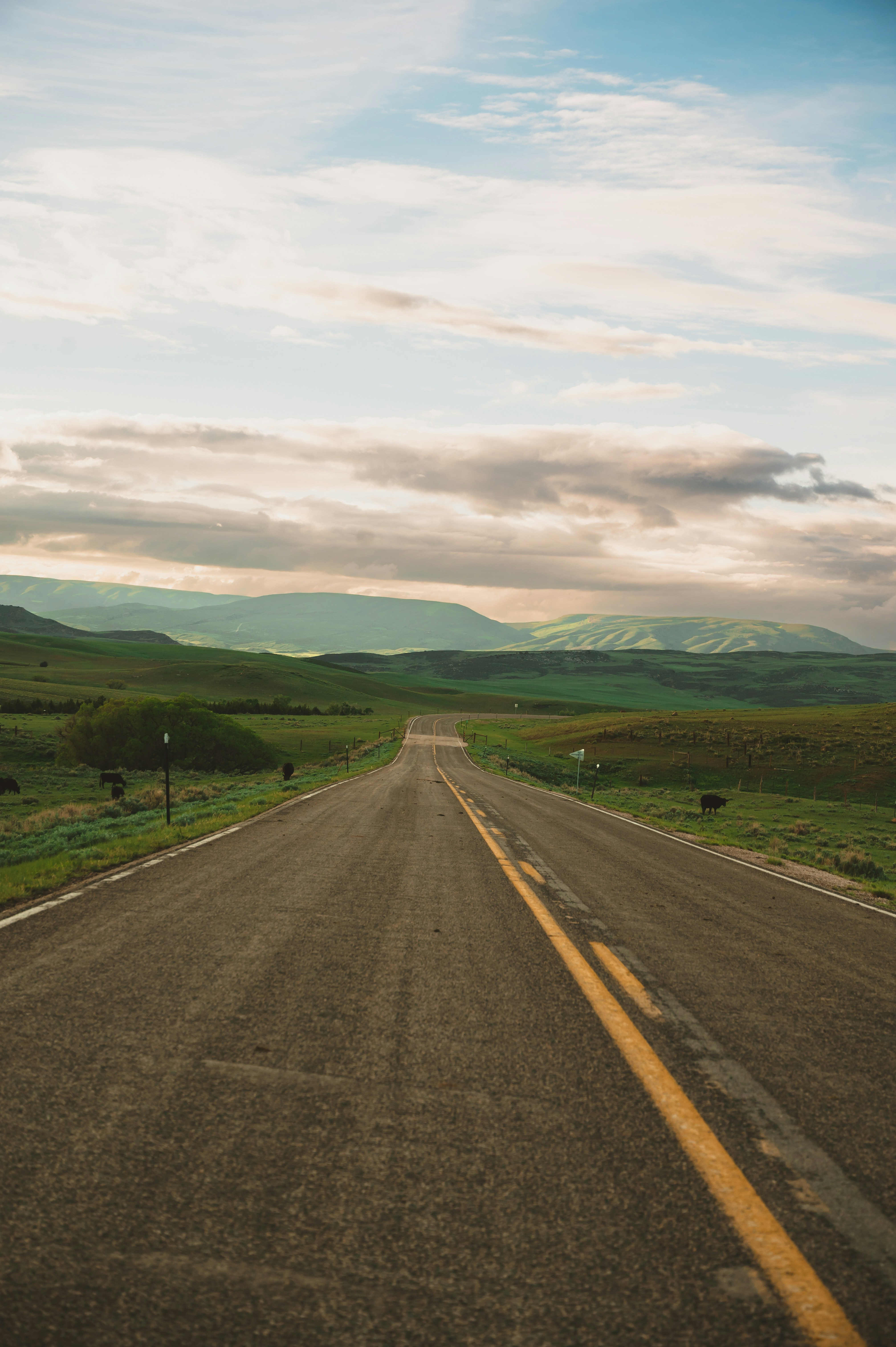 Photo by coltonsturgeon