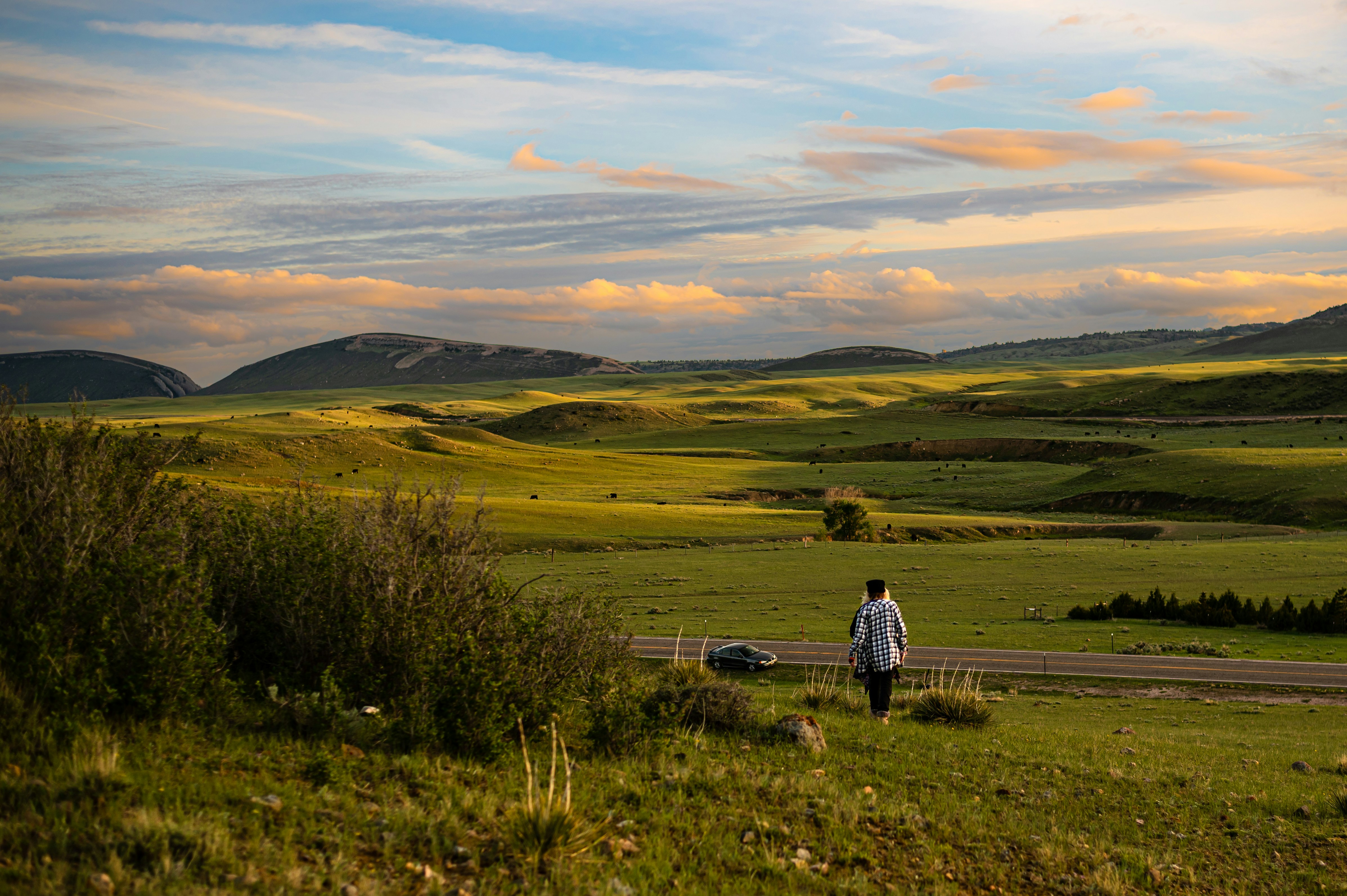 Photo by coltonsturgeon