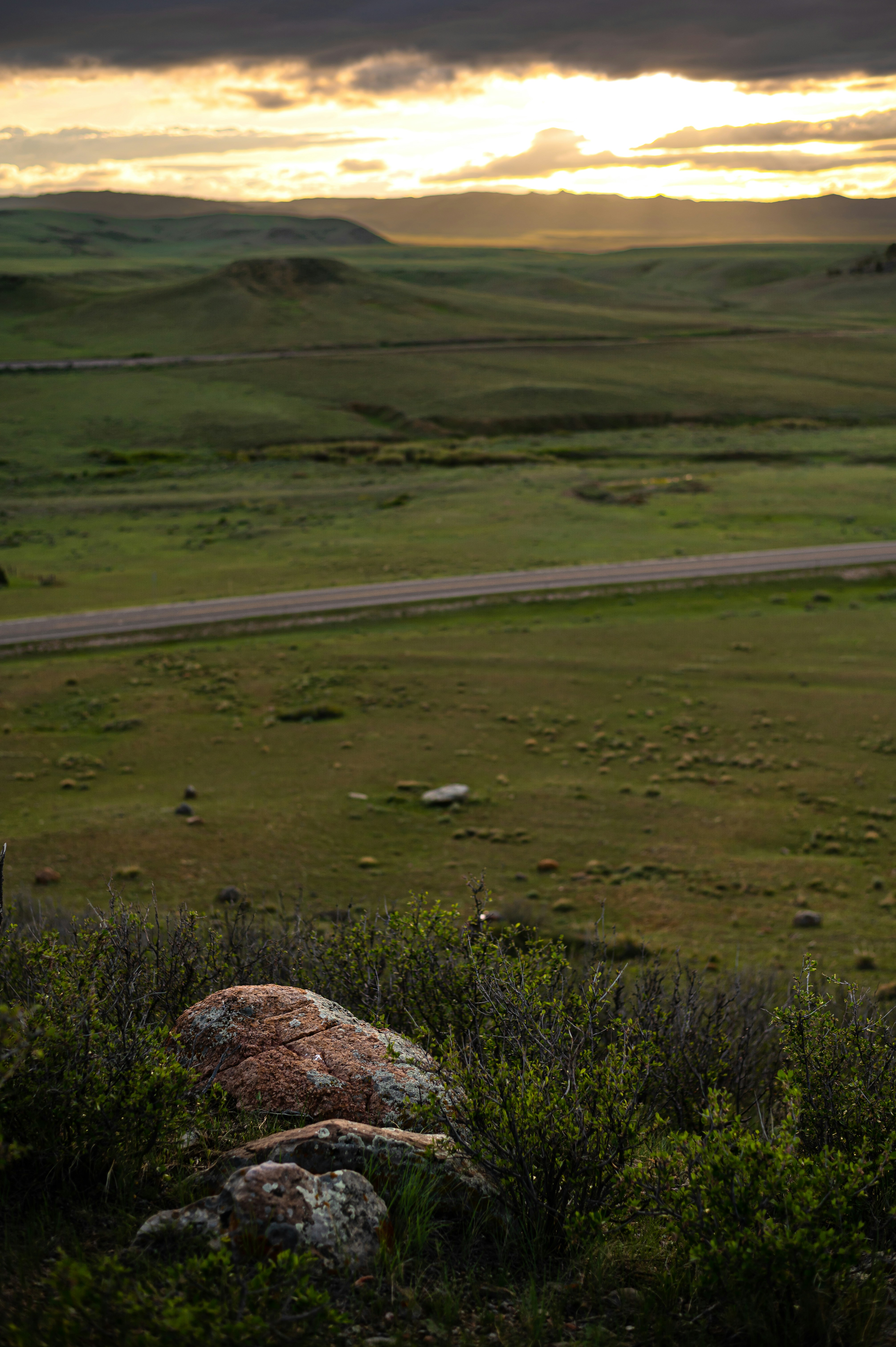 Photo by coltonsturgeon