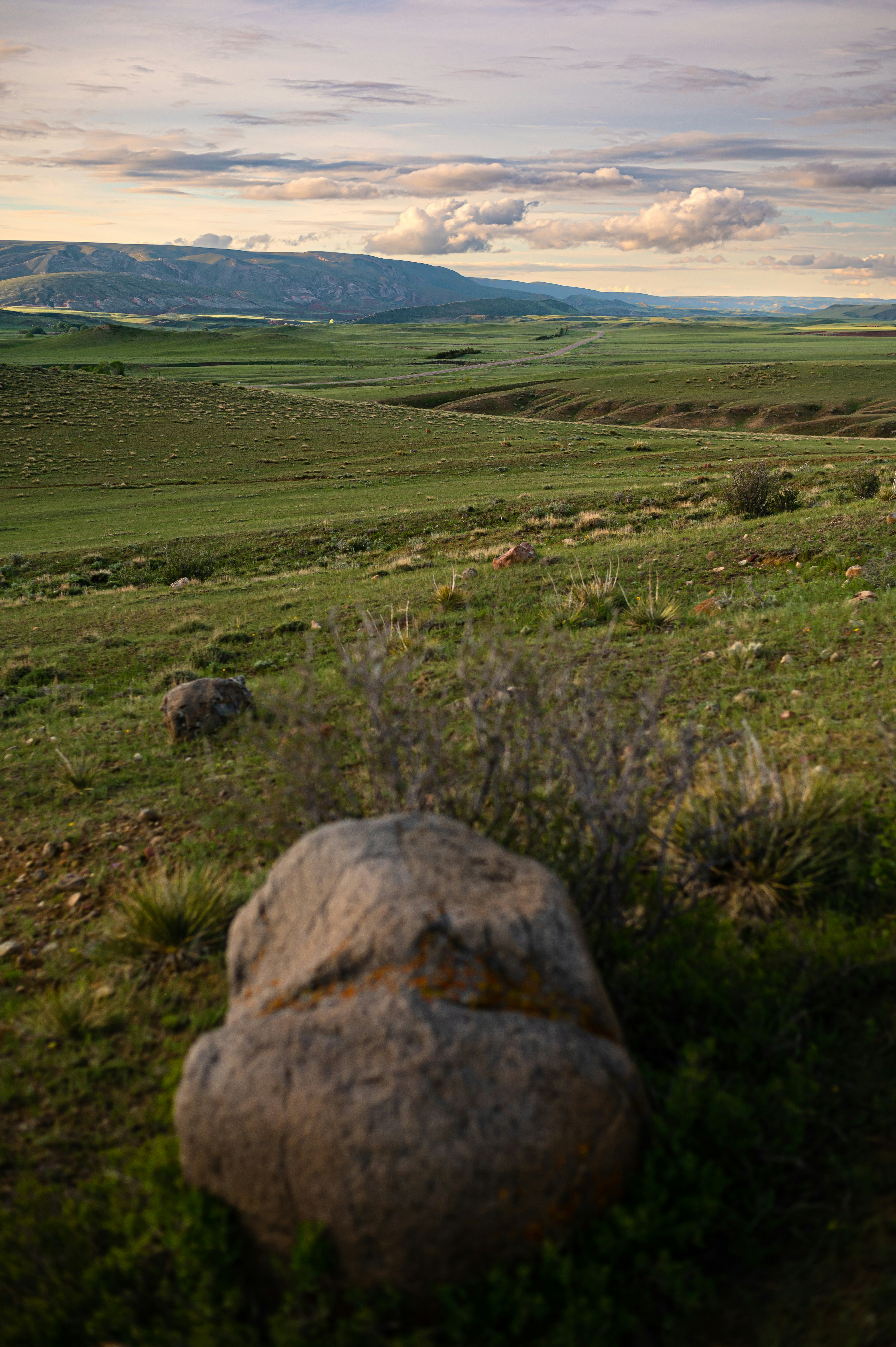 Photo by coltonsturgeon