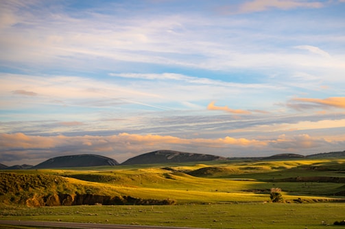 Sunlit open field showing the natural beauty of the property.