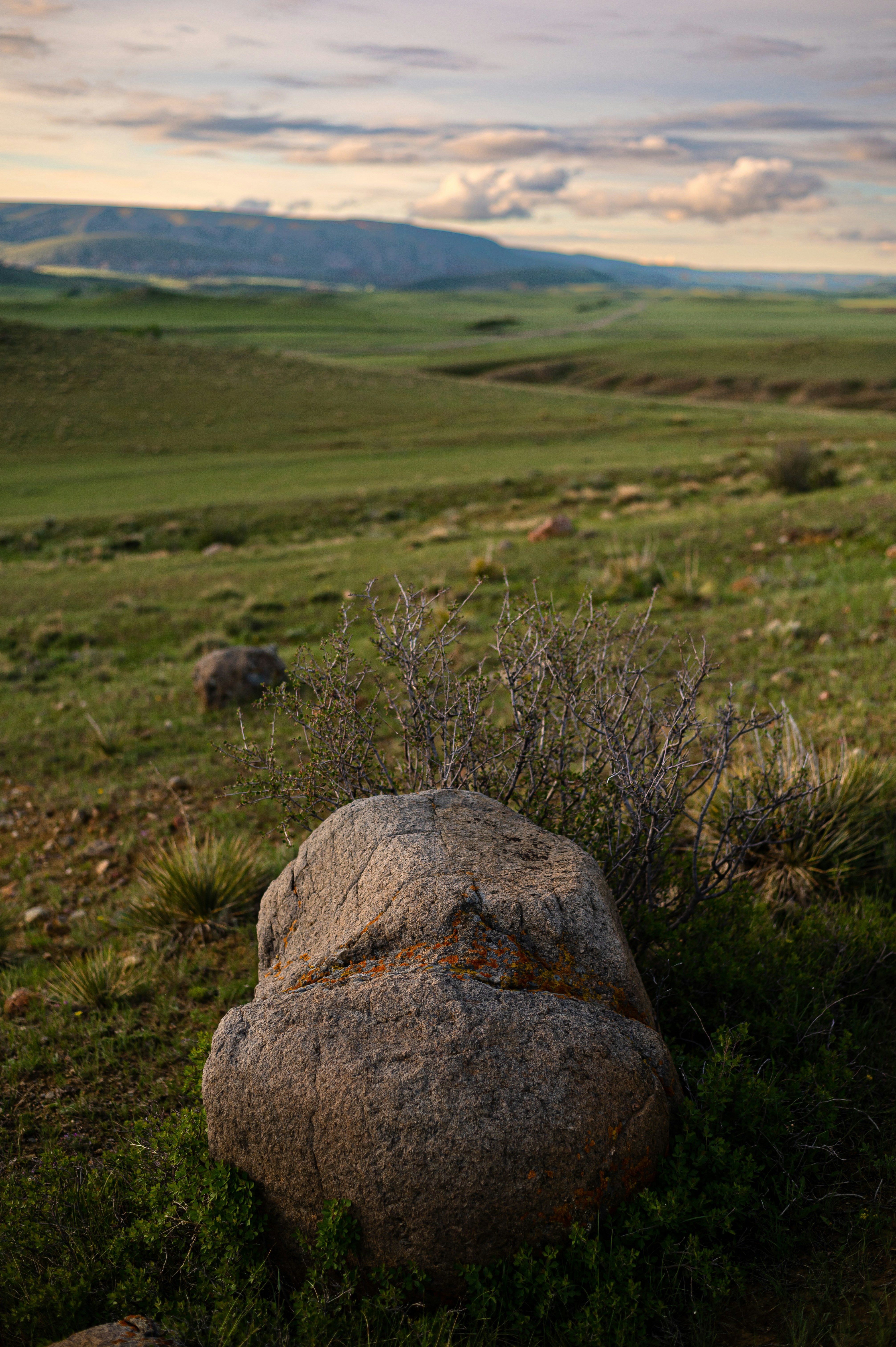 Photo by coltonsturgeon