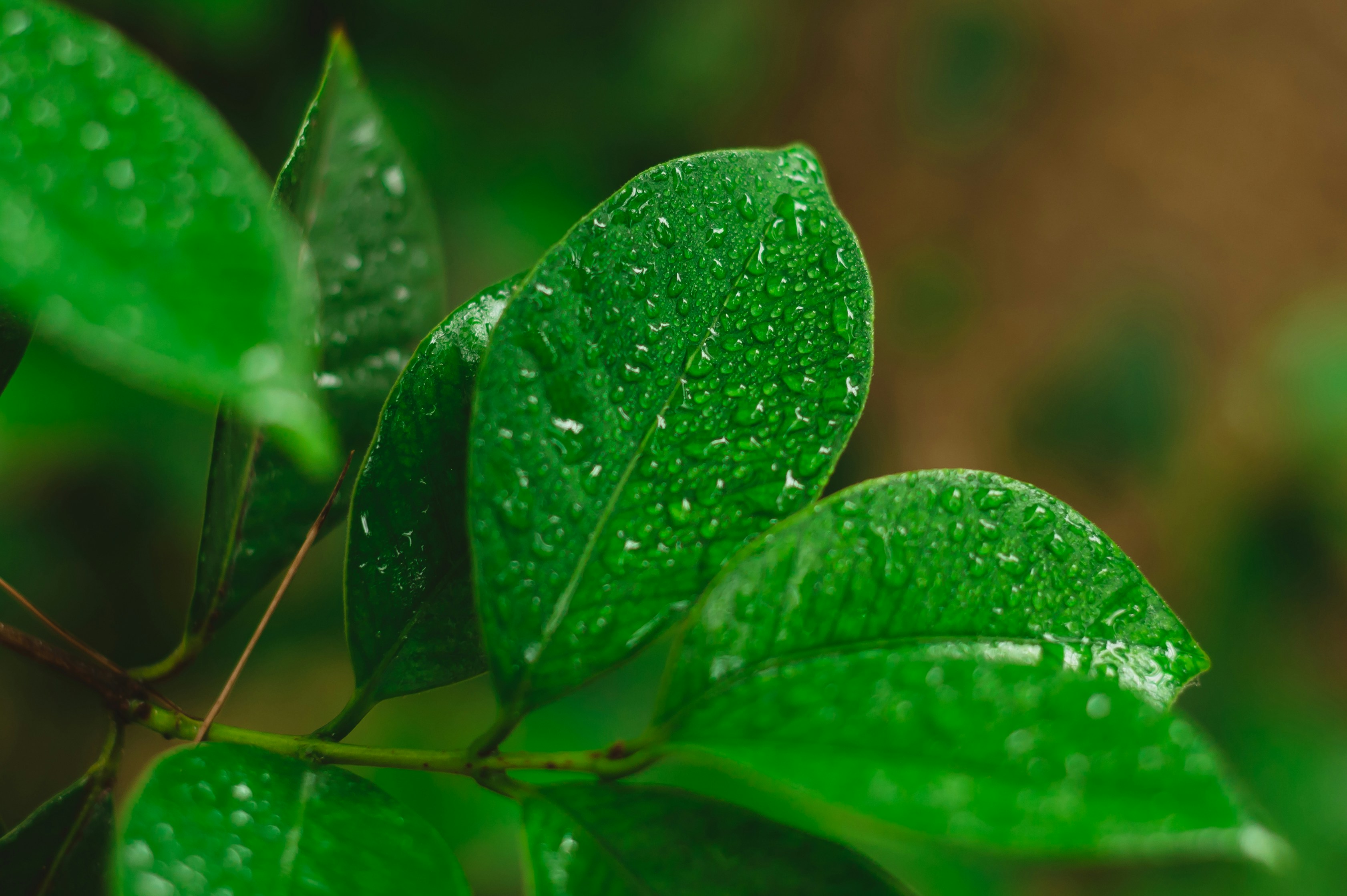 Photo by coltonsturgeon