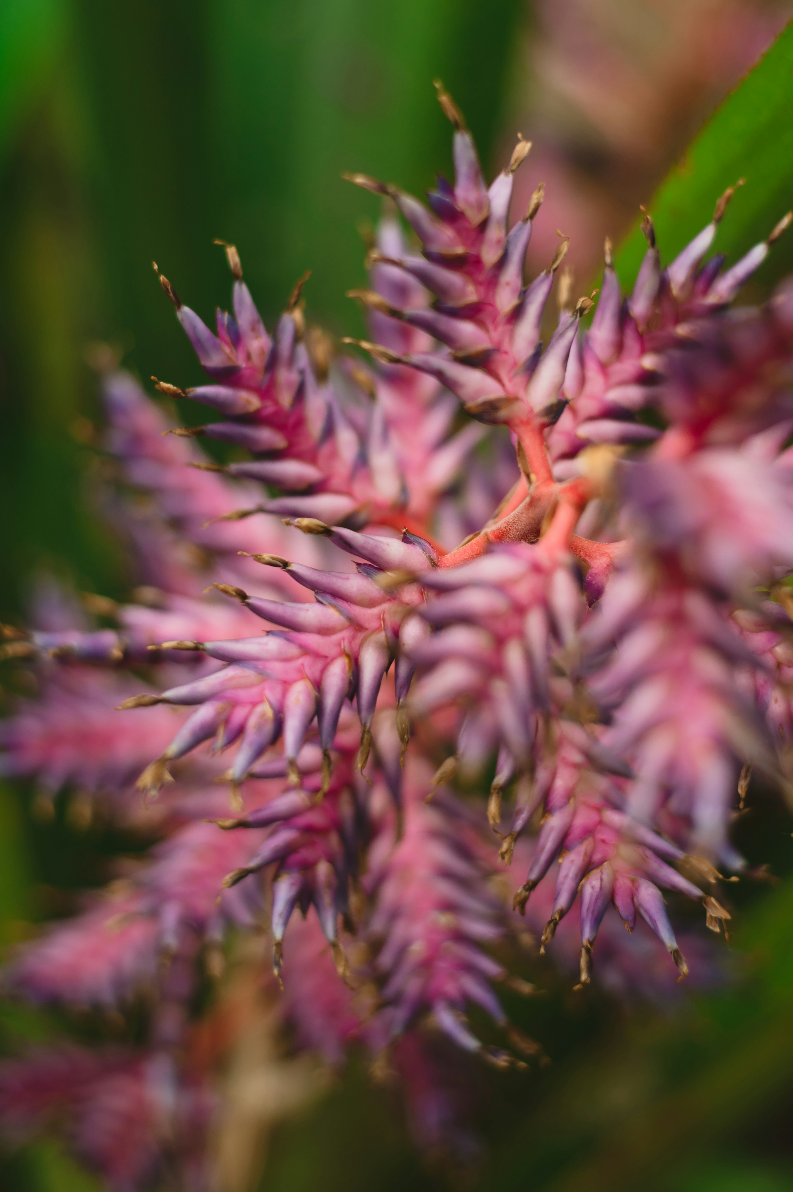 Photo by coltonsturgeon