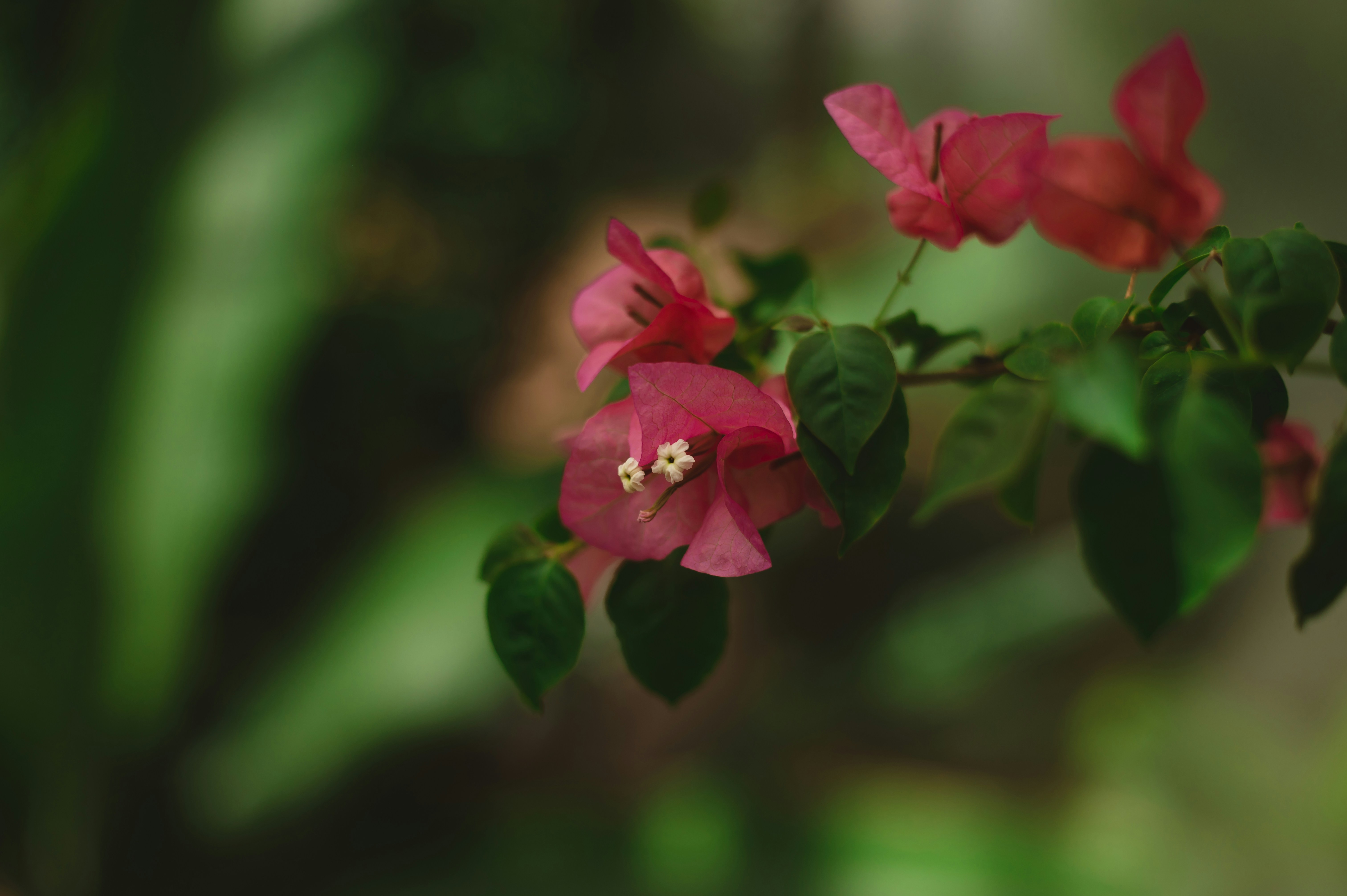 Photo by coltonsturgeon