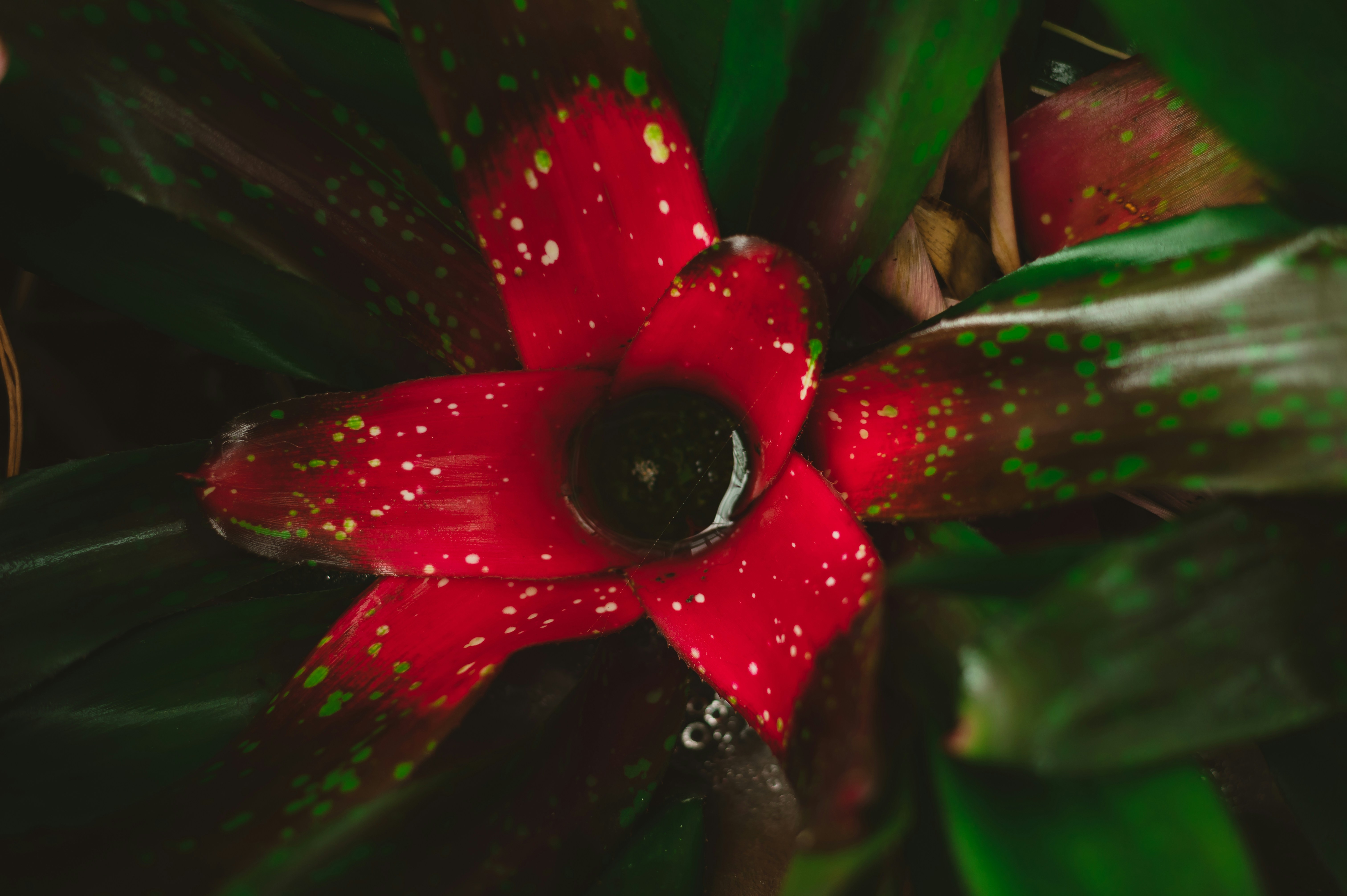 Photo by coltonsturgeon