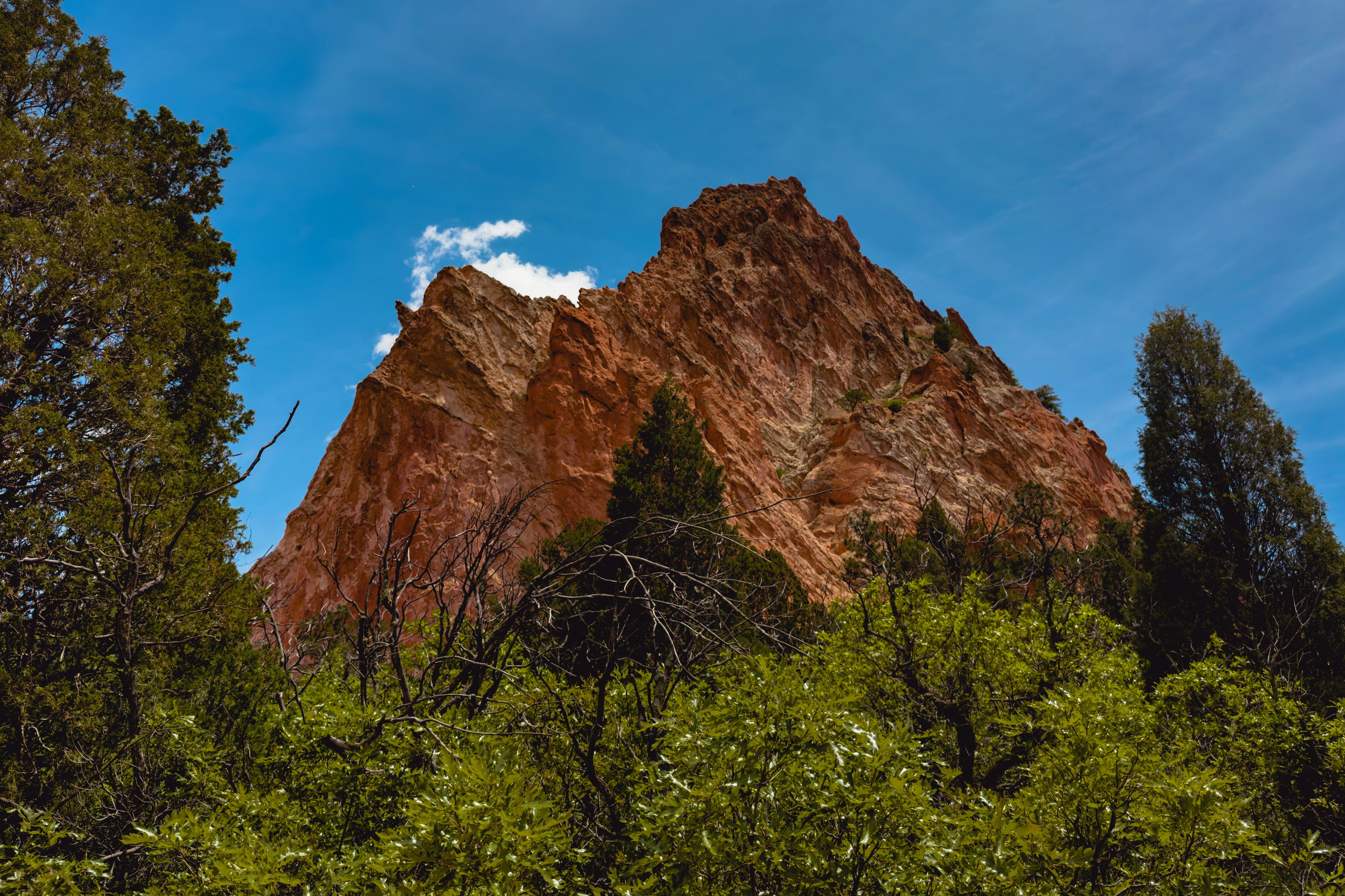 a mountain with trees and a cloud in the sky, 