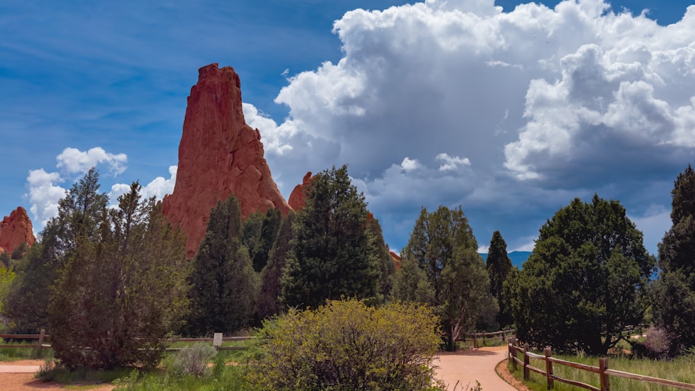 a scenic view of a park with a mountain in the background