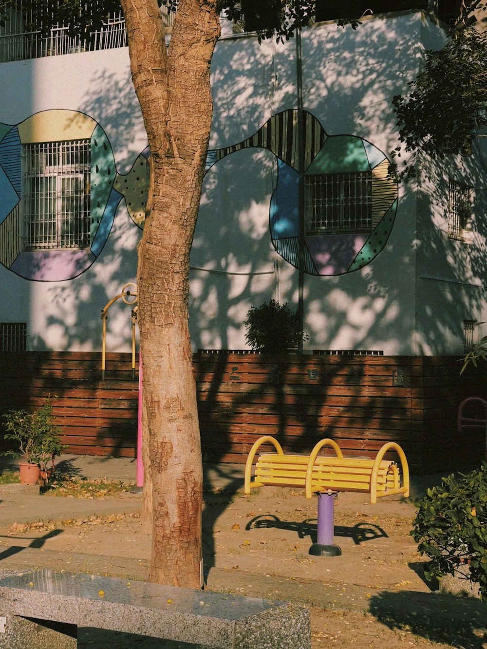 una panchina sotto un albero di fronte a un edificio