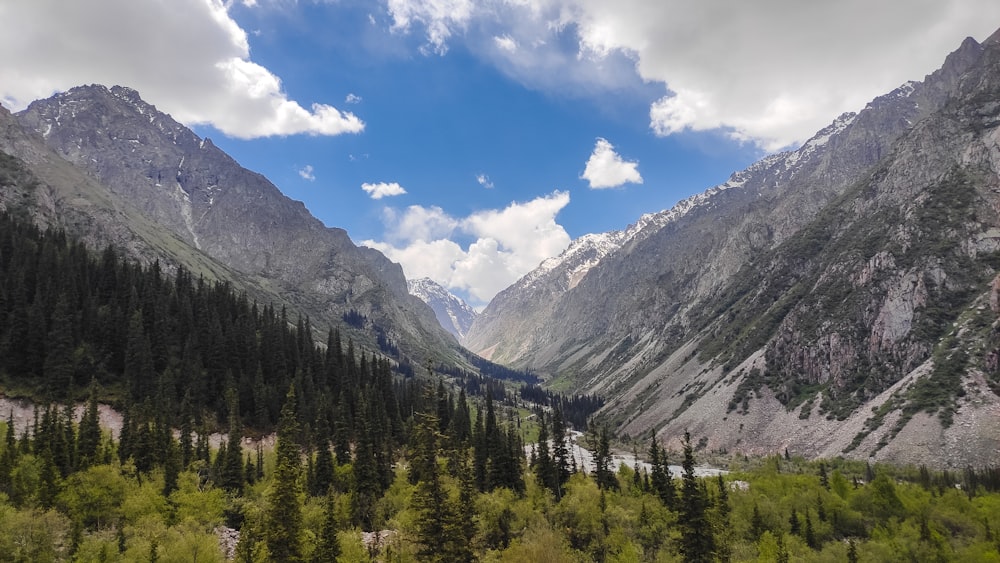 a view of a valley with mountains in the background