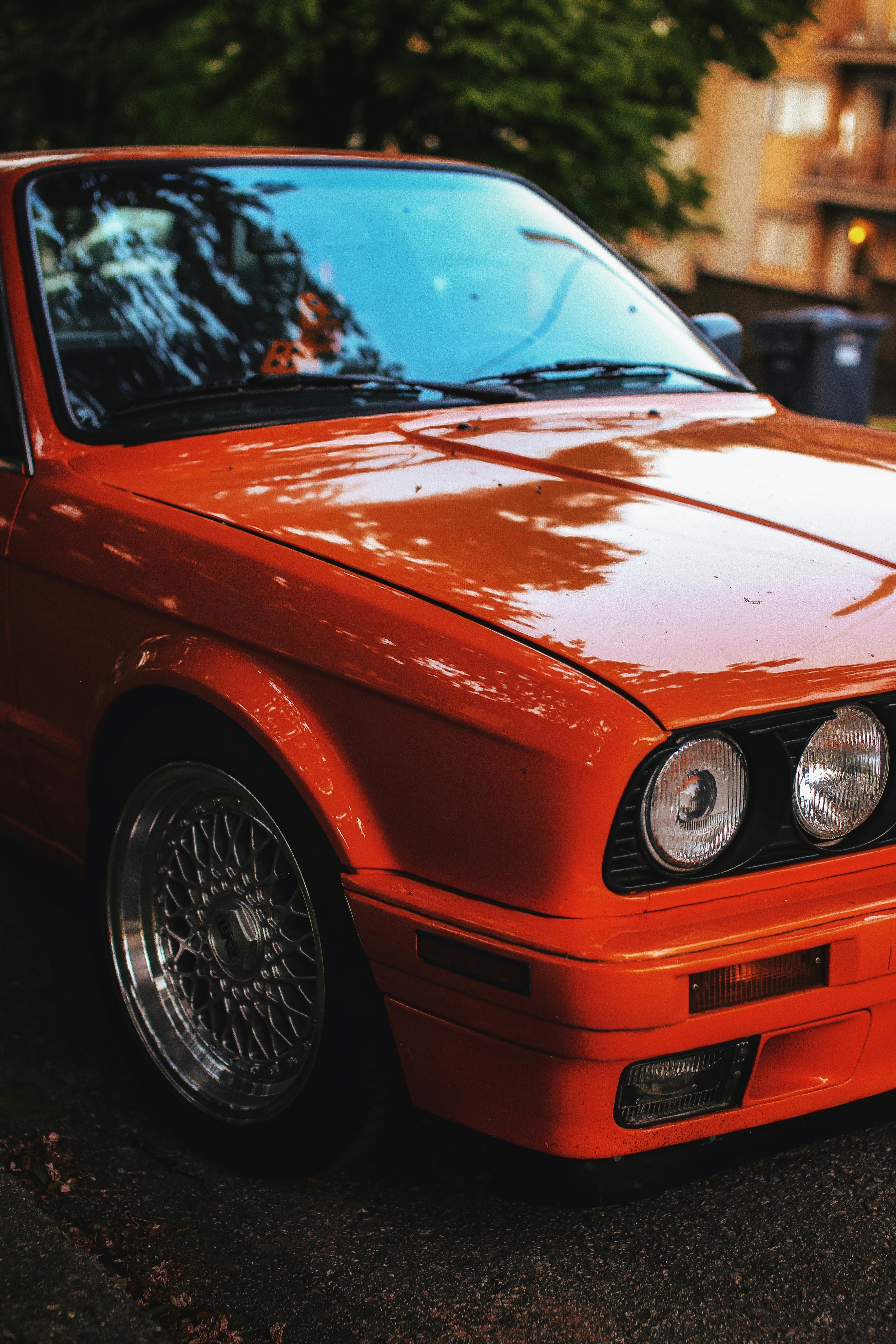 Photo by richmondarcher