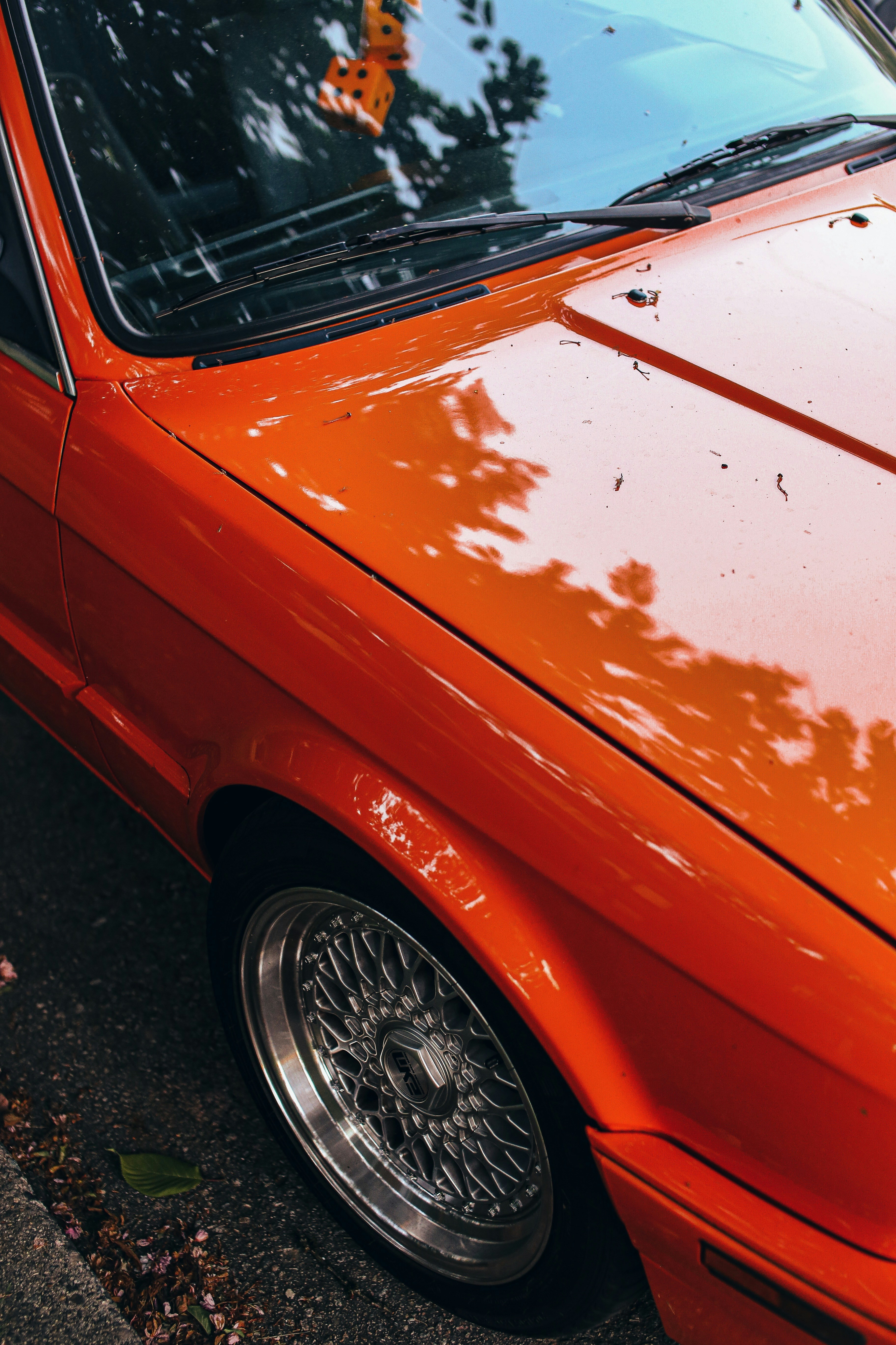 Photo by richmondarcher