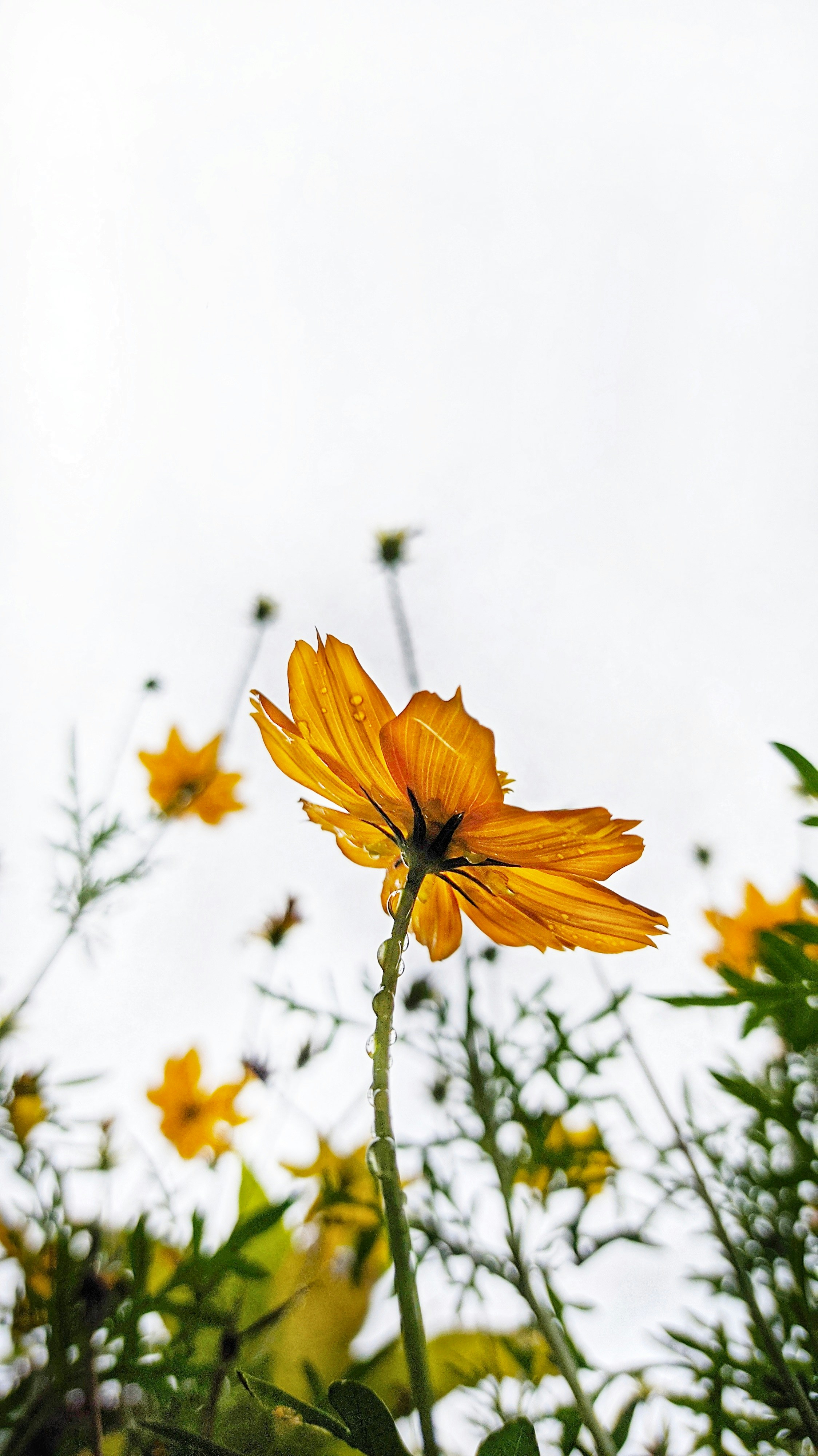 Photo by reniagustin