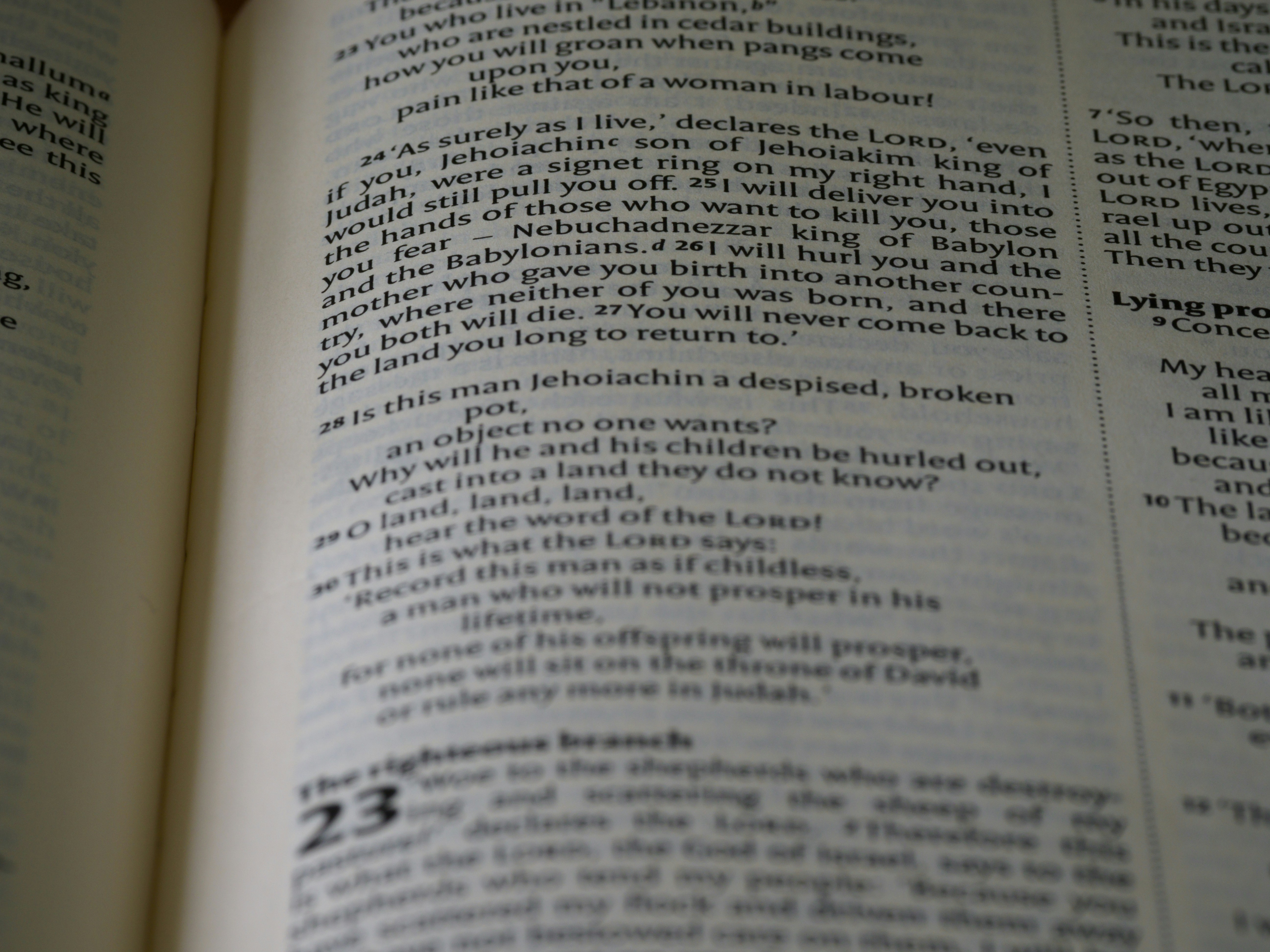 Jasa Cek Plagiasi Turnitin