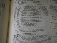 Screenshot of a clean, minimalist wiki article page with clear headings and white space.