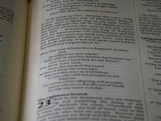 An organized and clear information page about the organization's vision and mission.