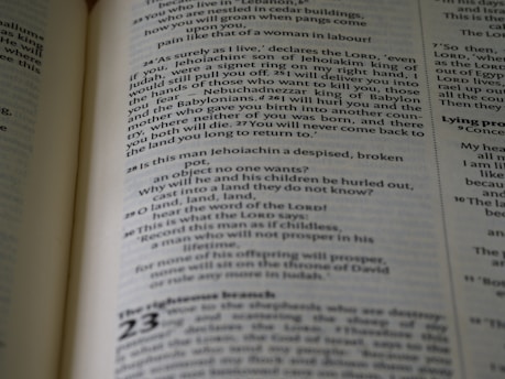 Screenshot of a cleanly arranged test webpage with headings and text blocks.