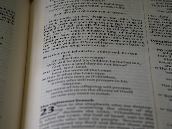 Sample educational content page developed during my early writing career.