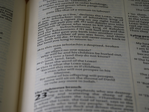 A blog article page with clear h1 and h2 headings, using a simple and readable font against a white background.