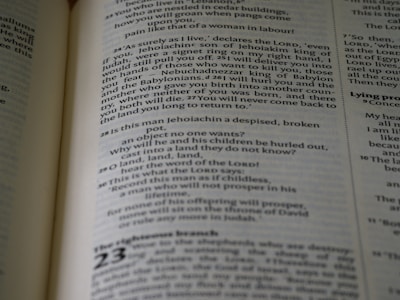 Close-up of white page with black text in a neat font