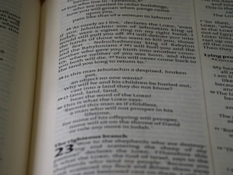 Understanding Blog Sites and Article Pages: A Comprehensive Guide