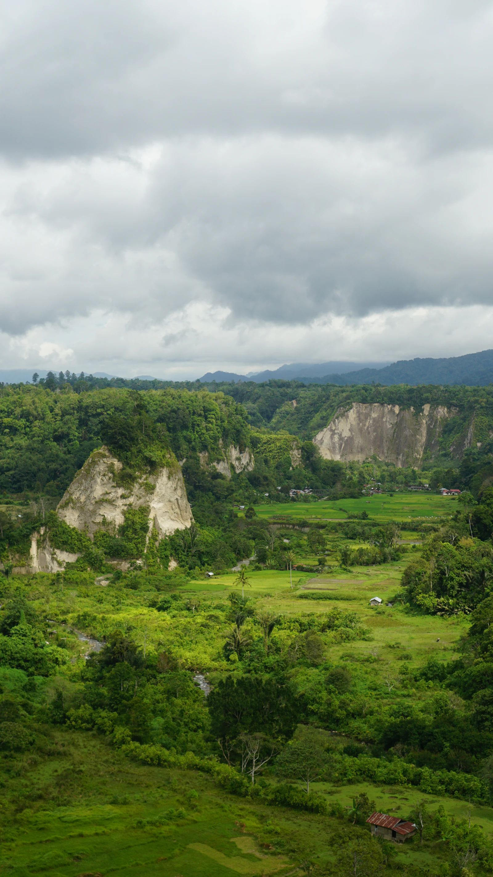 4-Day Tana Toraja Ancestral Cliff Tombs & Highland Culture