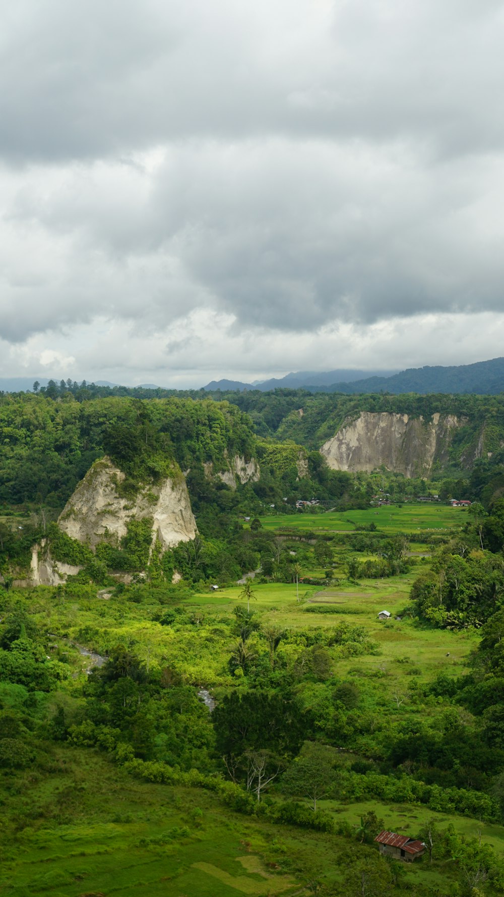 a lush green valley filled with lots of trees