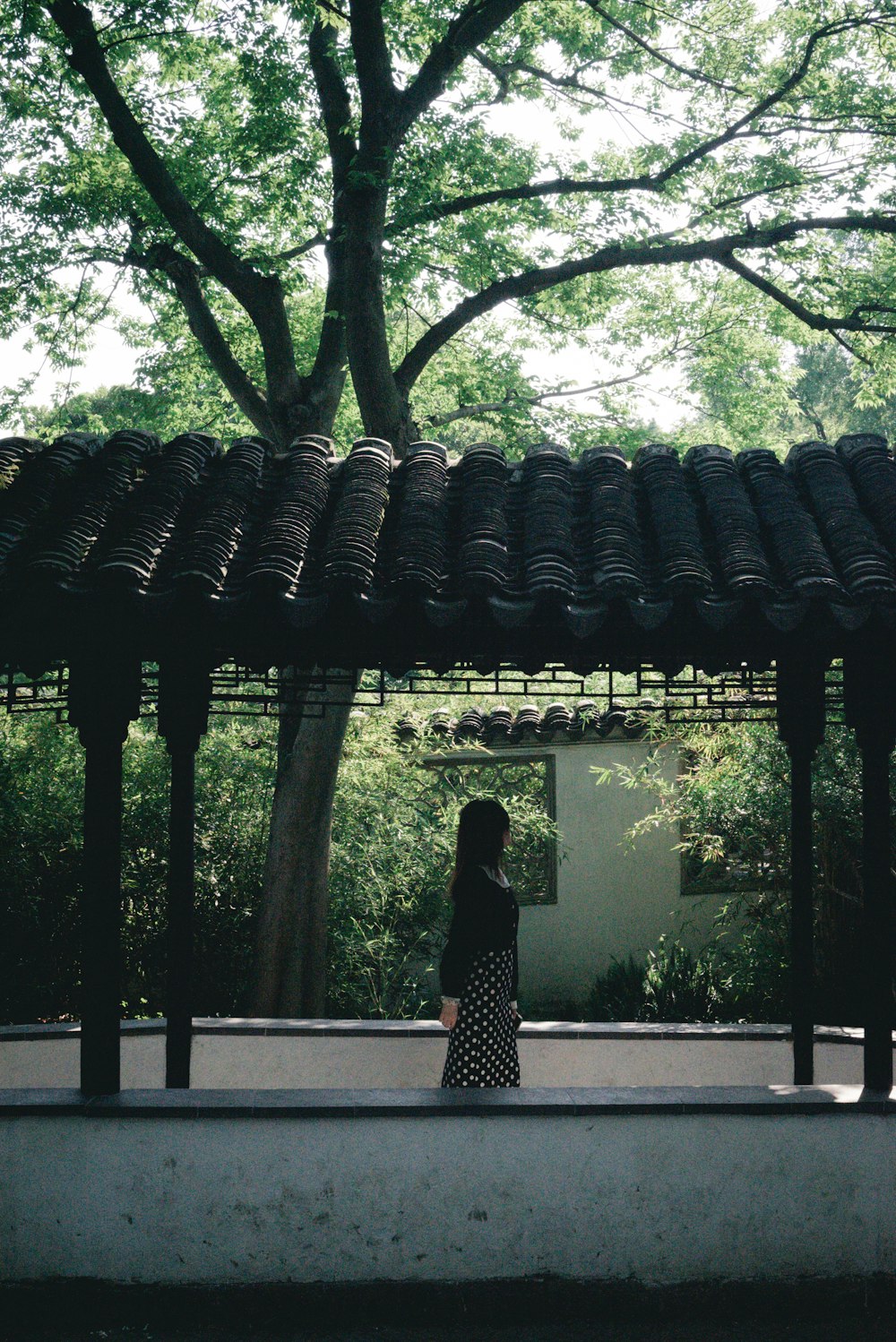 a woman standing under a tree in a park