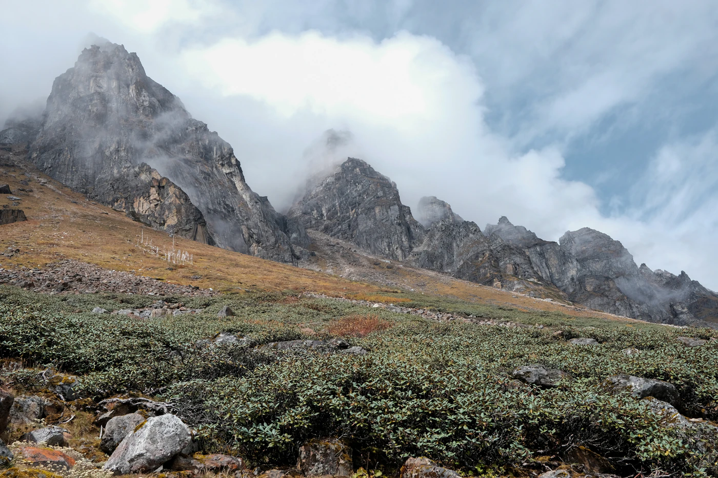 Gangtok, Lachung & Pelling Explorer — main view