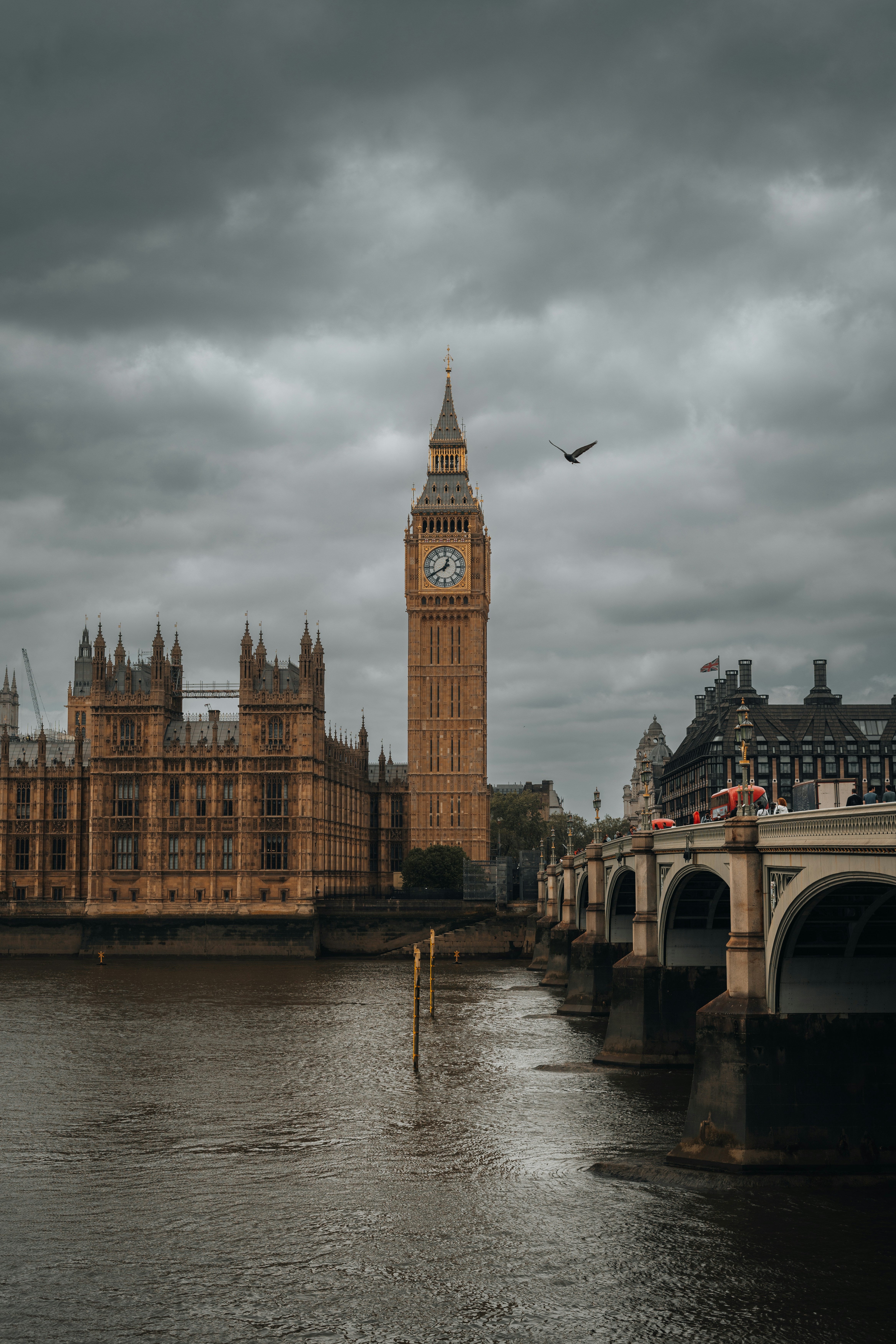 Photo by dreyerchris