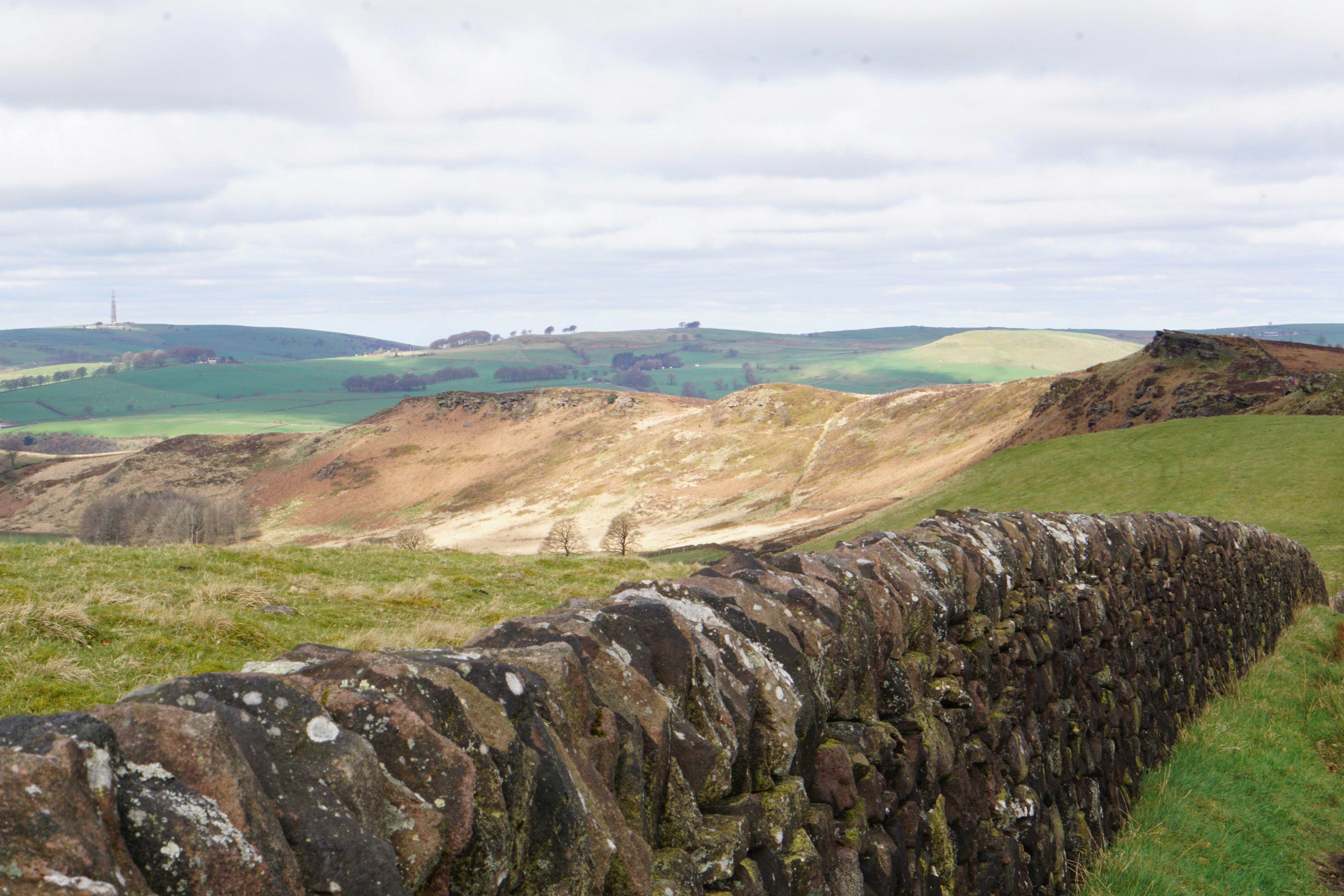 Photo by luca_capron