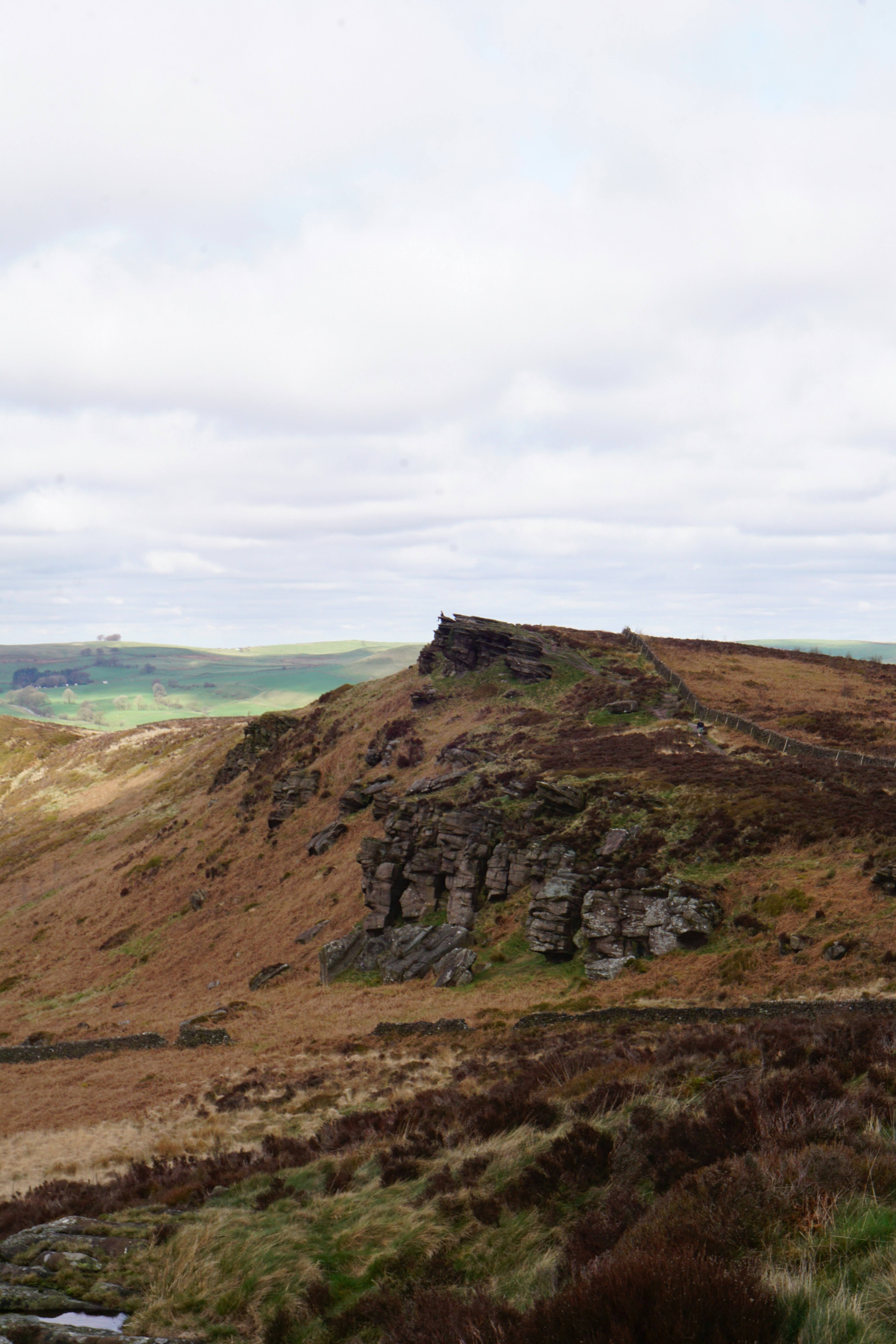 Photo by luca_capron