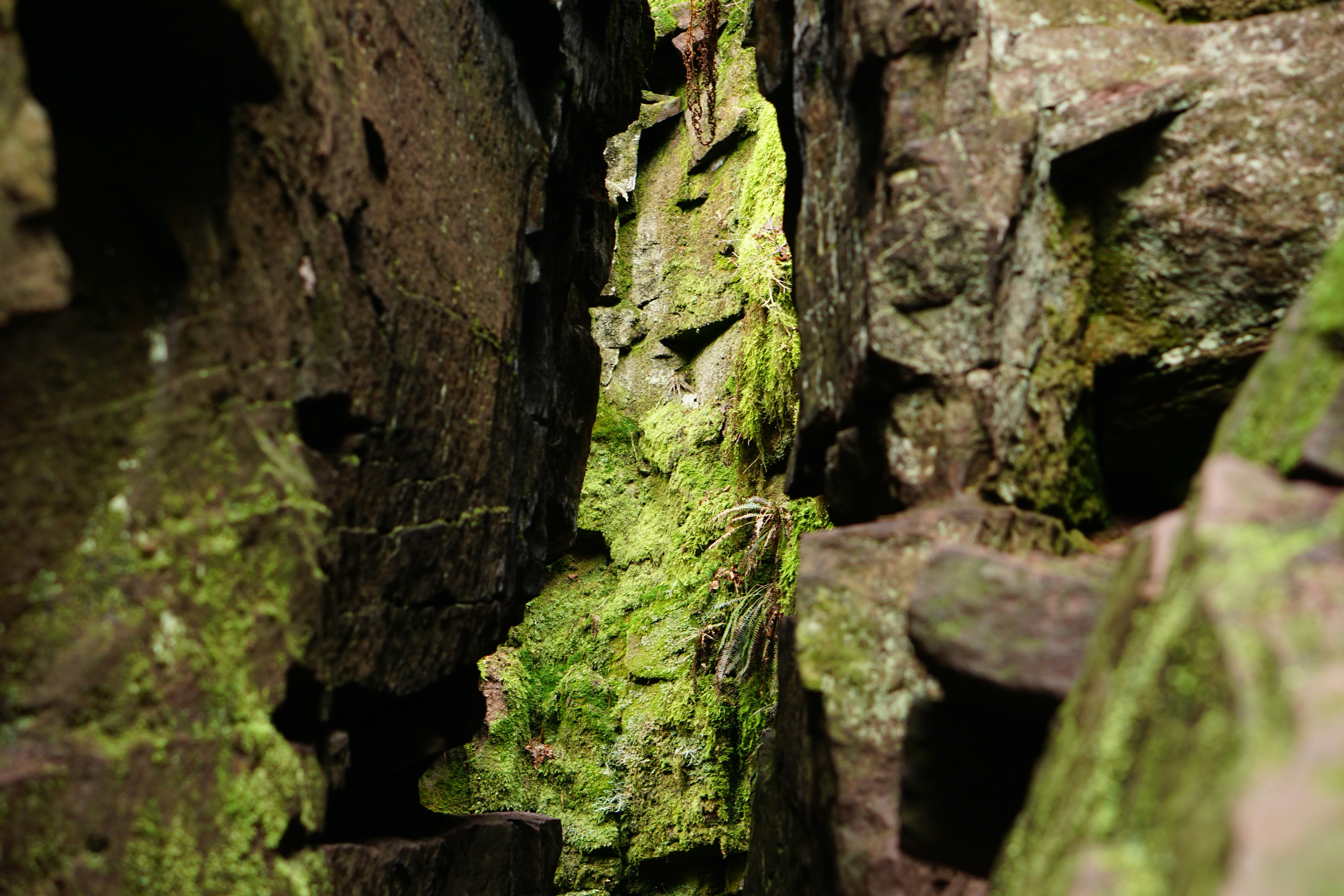 Photo by luca_capron