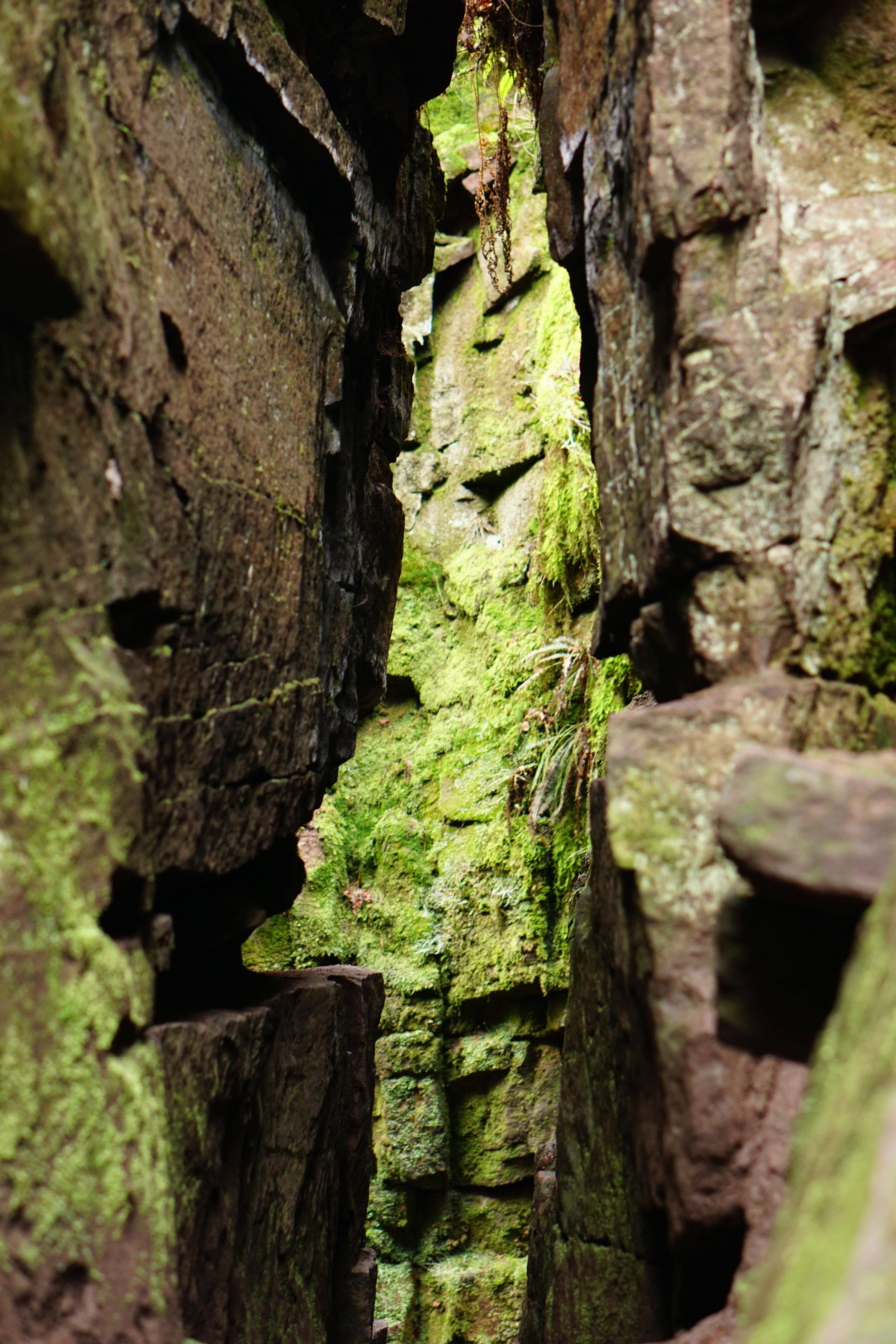 Photo by luca_capron