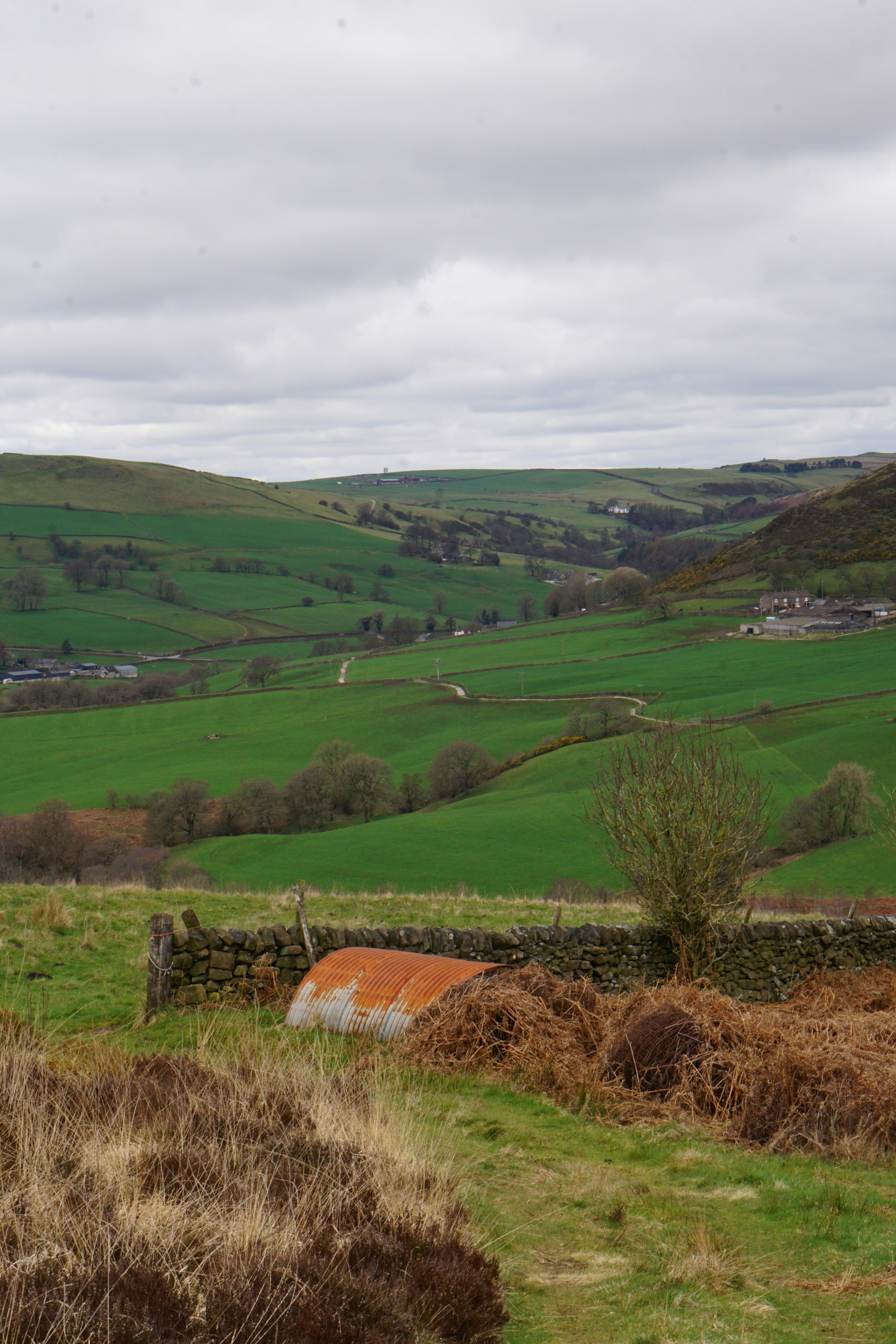 Photo by luca_capron