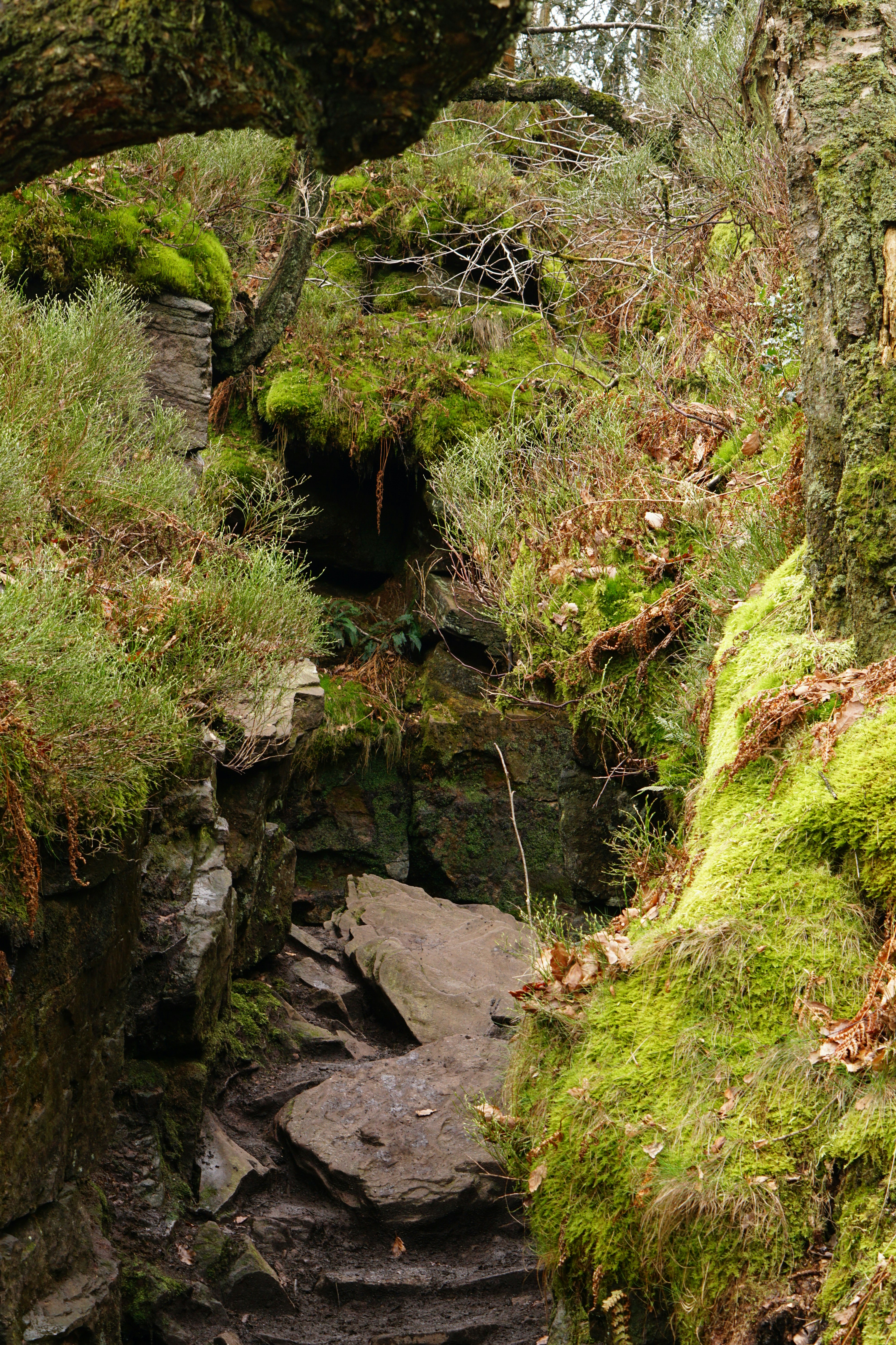 Photo by luca_capron