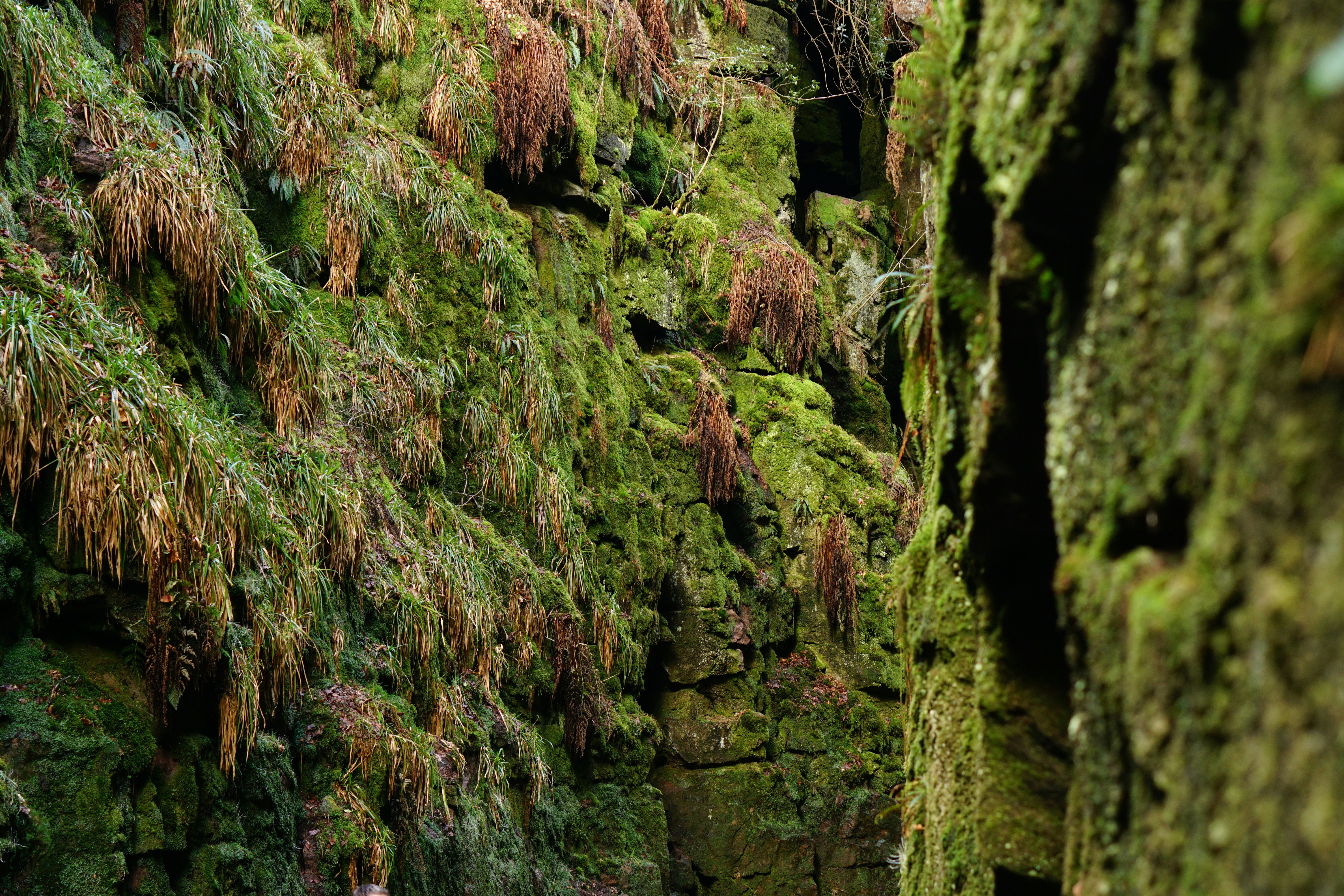 Photo by luca_capron