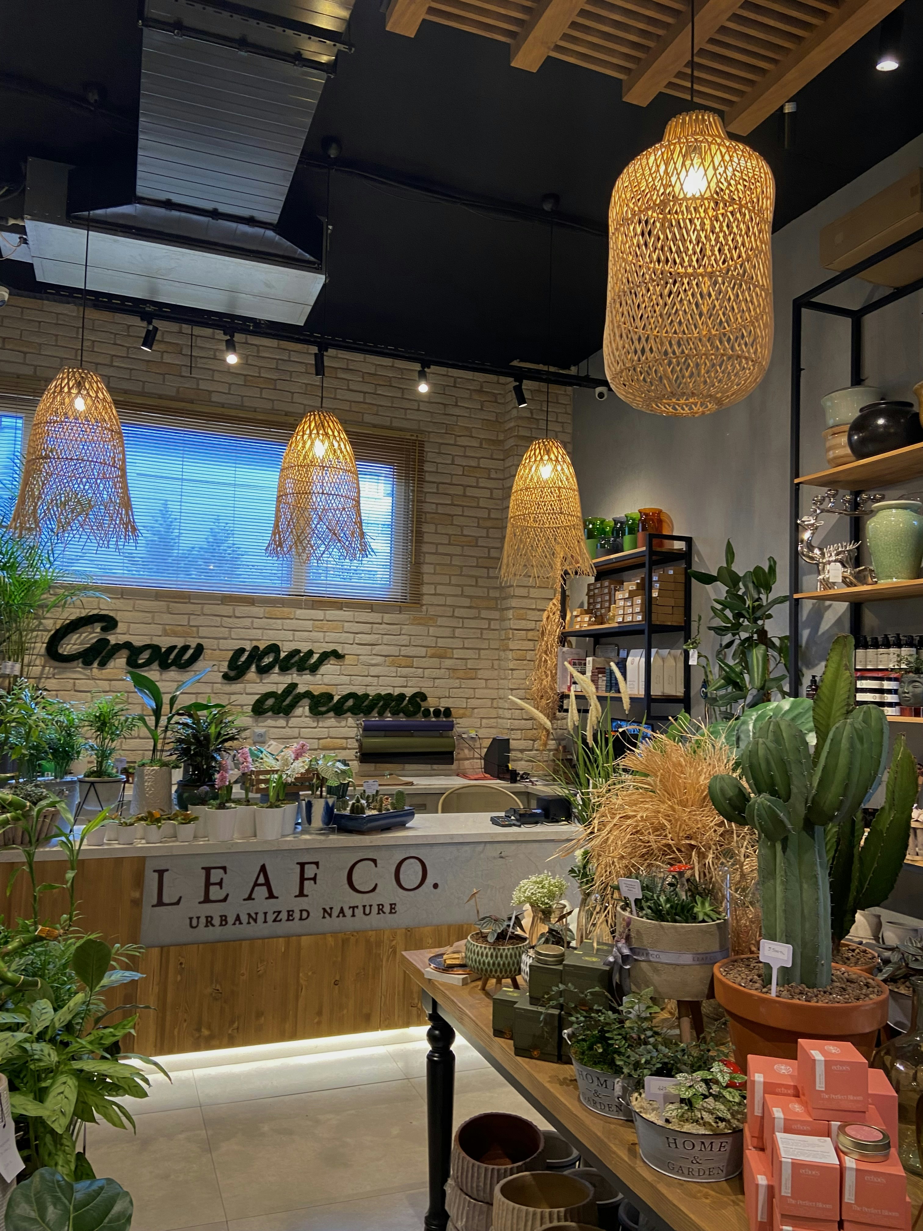 Natural Vinegars and Houseplants