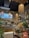 A lush indoor plant shop with a variety of greenery displayed on tables and shelves. The shop features an earthy and welcoming design, with wooden elements and wicker light fixtures hanging from the ceiling. A neon sign on the brick wall reads 'Grow your dreams...' adding a motivational touch. The space is filled with different types of plants, pots, and garden accessories, creating a vibrant and inviting atmosphere.