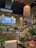 A lush indoor plant shop with a variety of greenery displayed on tables and shelves. The shop features an earthy and welcoming design, with wooden elements and wicker light fixtures hanging from the ceiling. A neon sign on the brick wall reads 'Grow your dreams...' adding a motivational touch. The space is filled with different types of plants, pots, and garden accessories, creating a vibrant and inviting atmosphere.