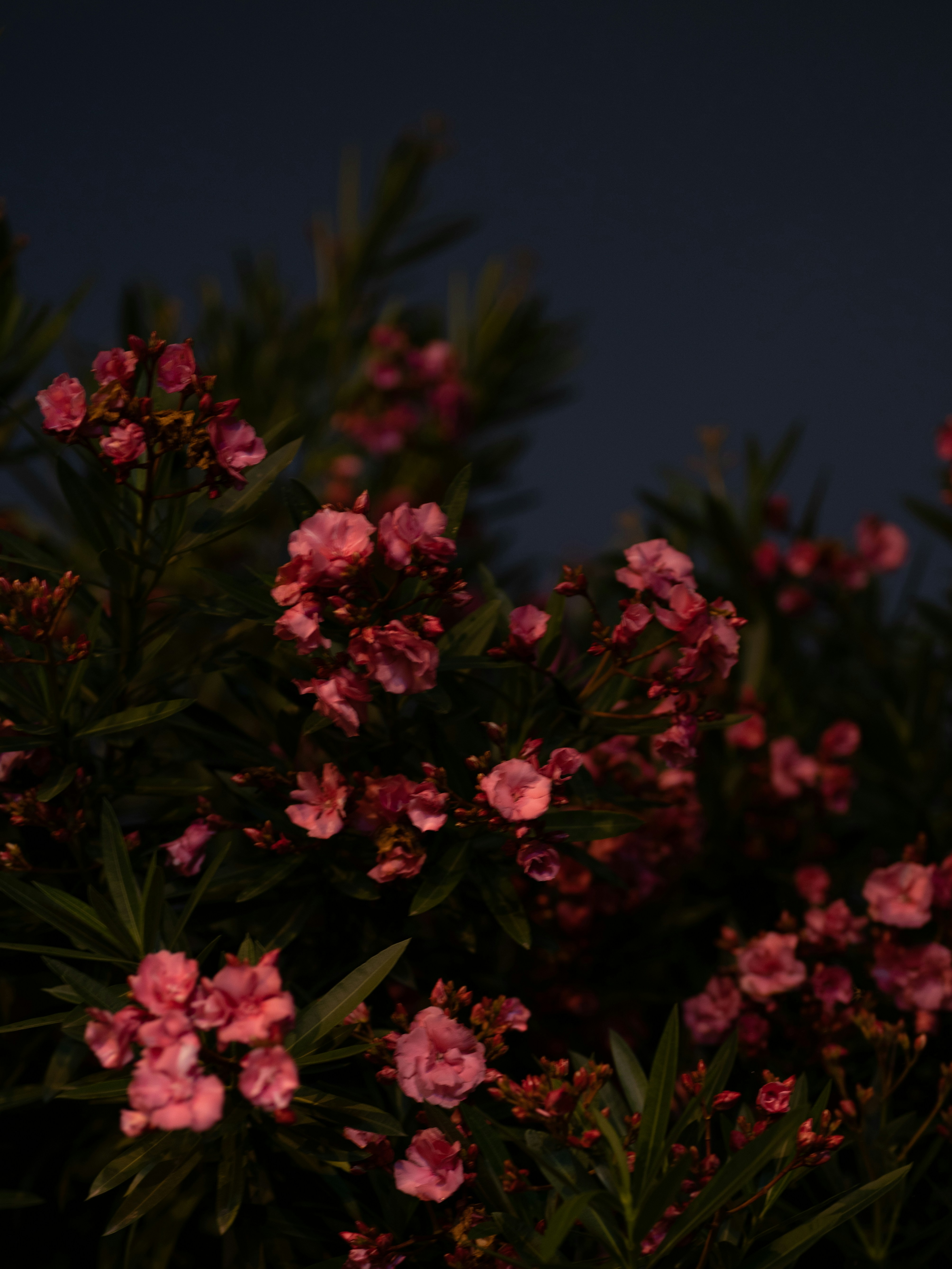 Photo by dongcheng