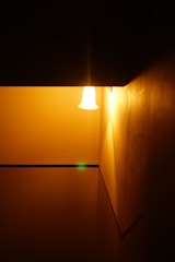 A warmly lit environment with a single light fixture attached to the ceiling. The light casts a soft glow on the surrounding walls, creating an inviting yet mysterious ambiance. The contrasting shadow and light distribution add depth to the setting.