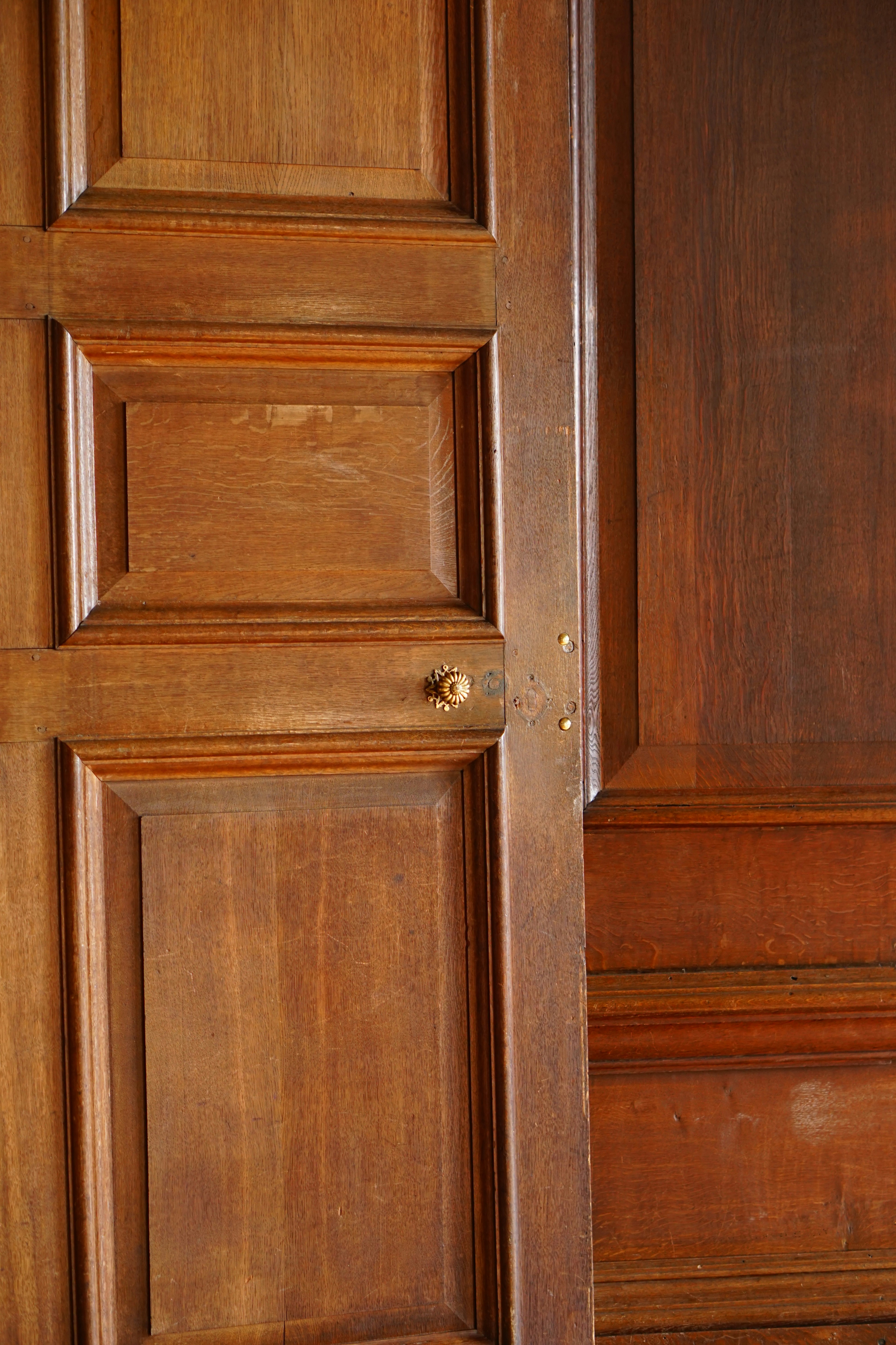 Photo by luca_capron