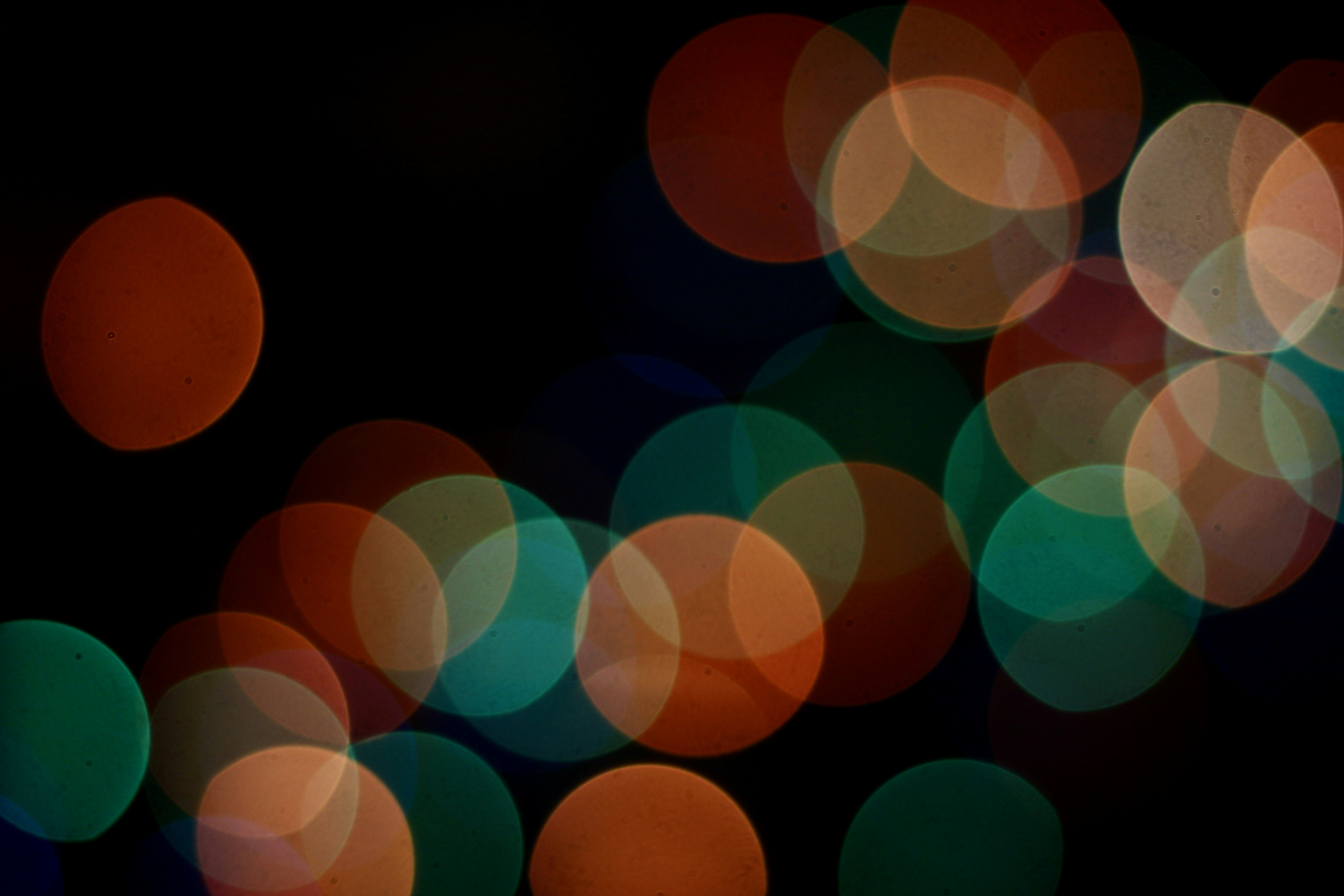 Photo by toushifalam