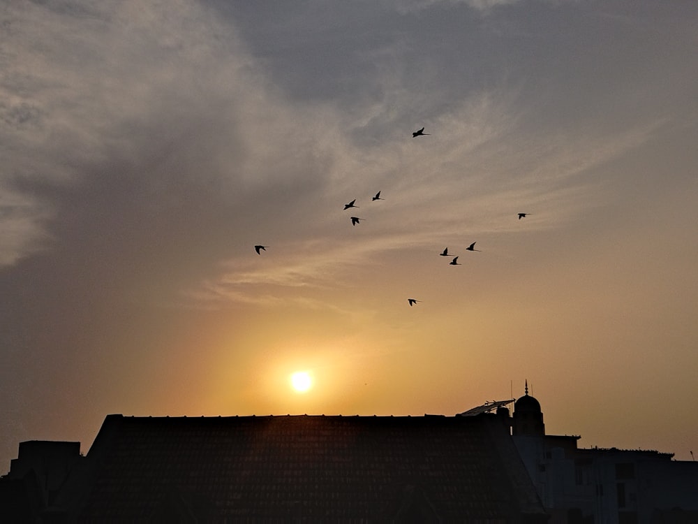 a flock of birds flying over a roof at sunset