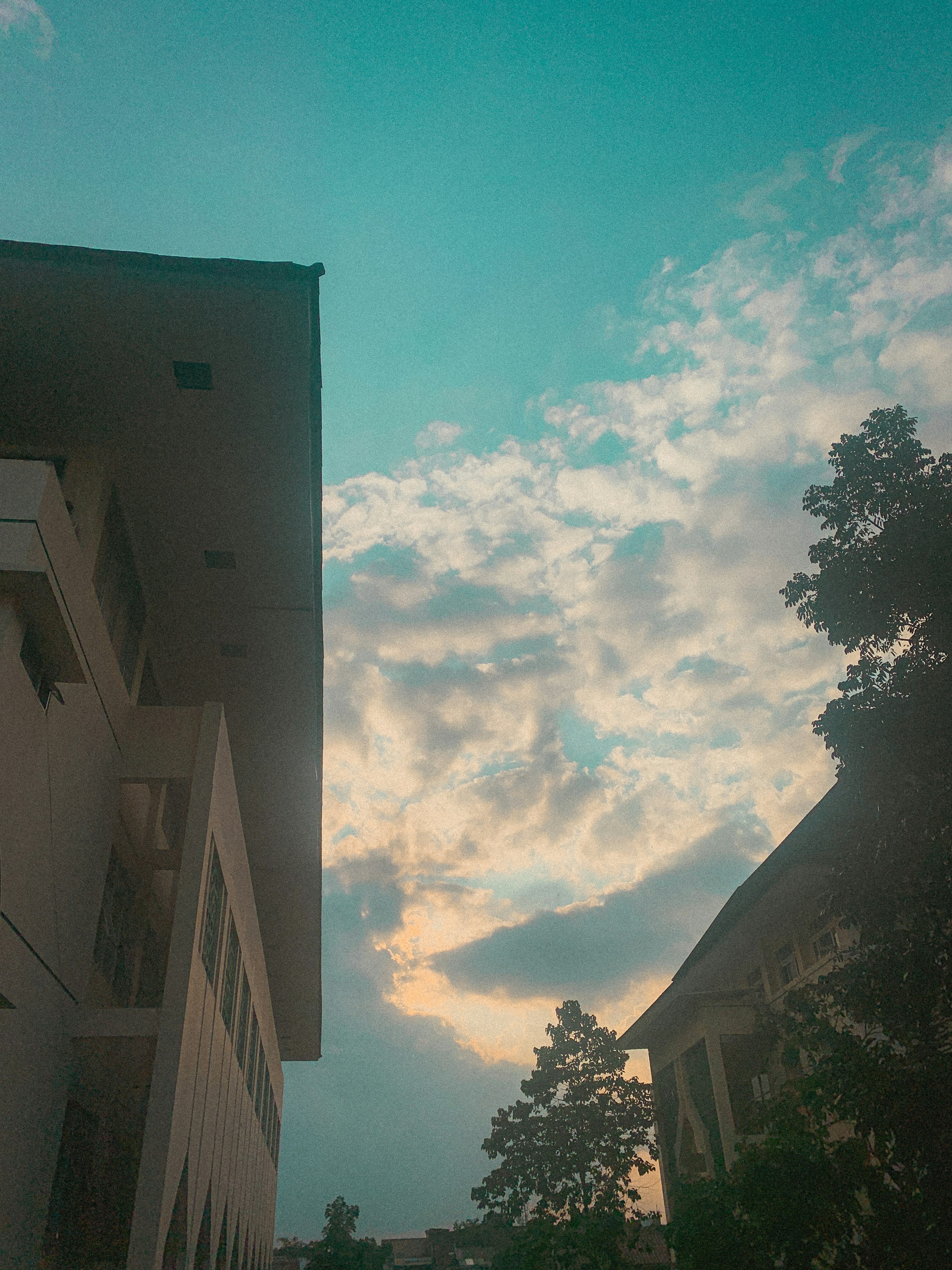 Photo by nhilal