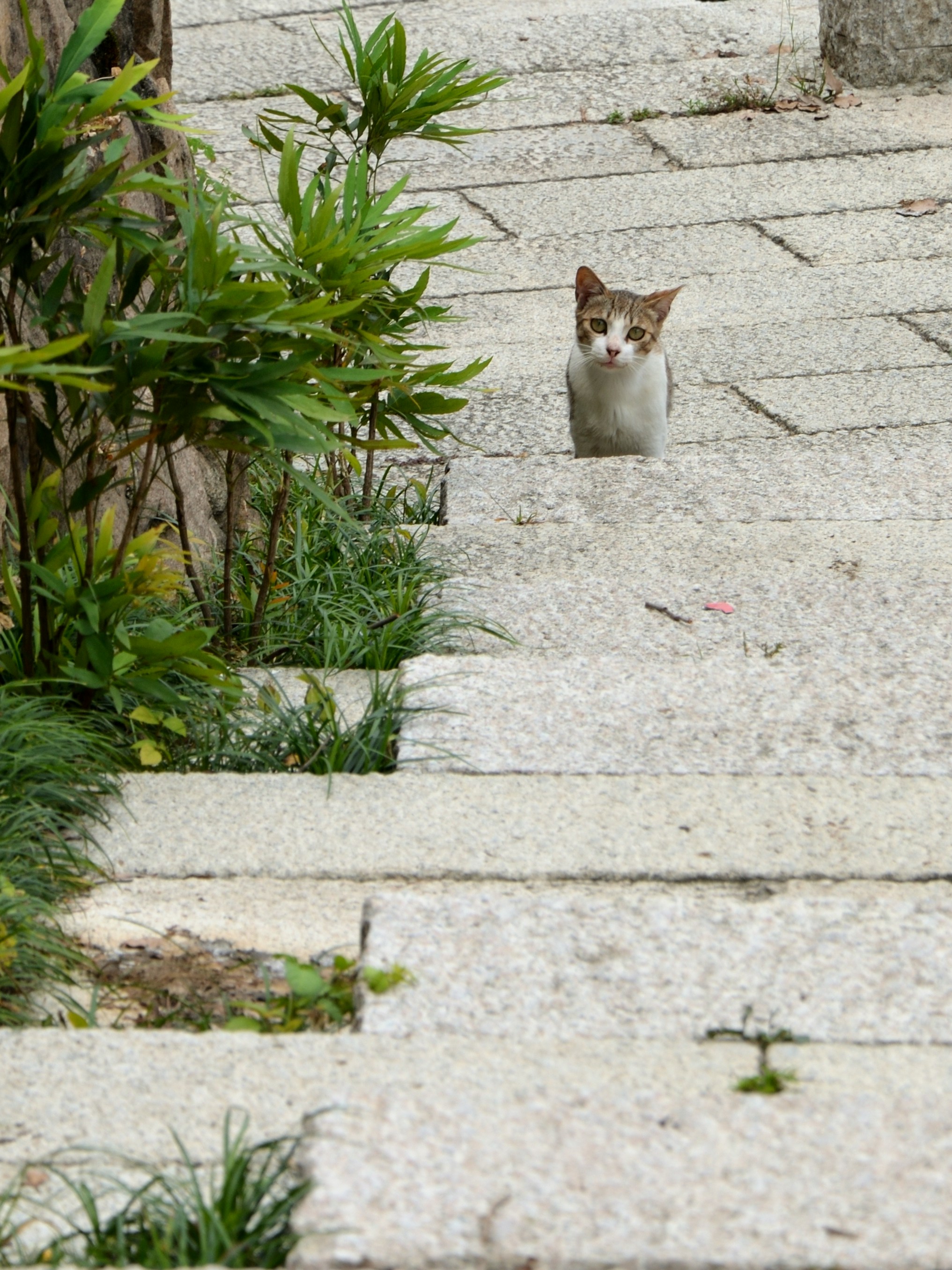 Photo by charleschina