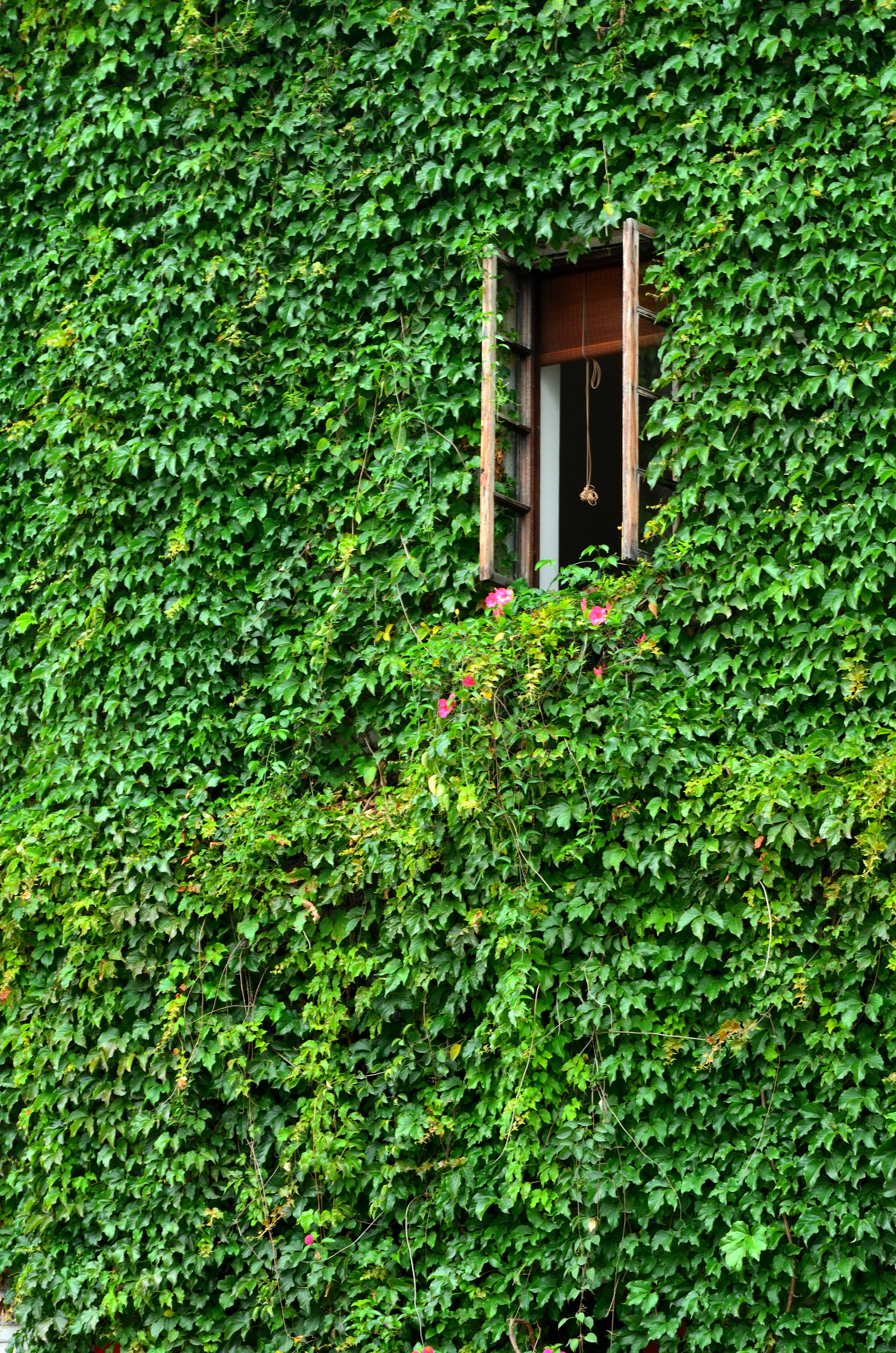 Photo by charleschina