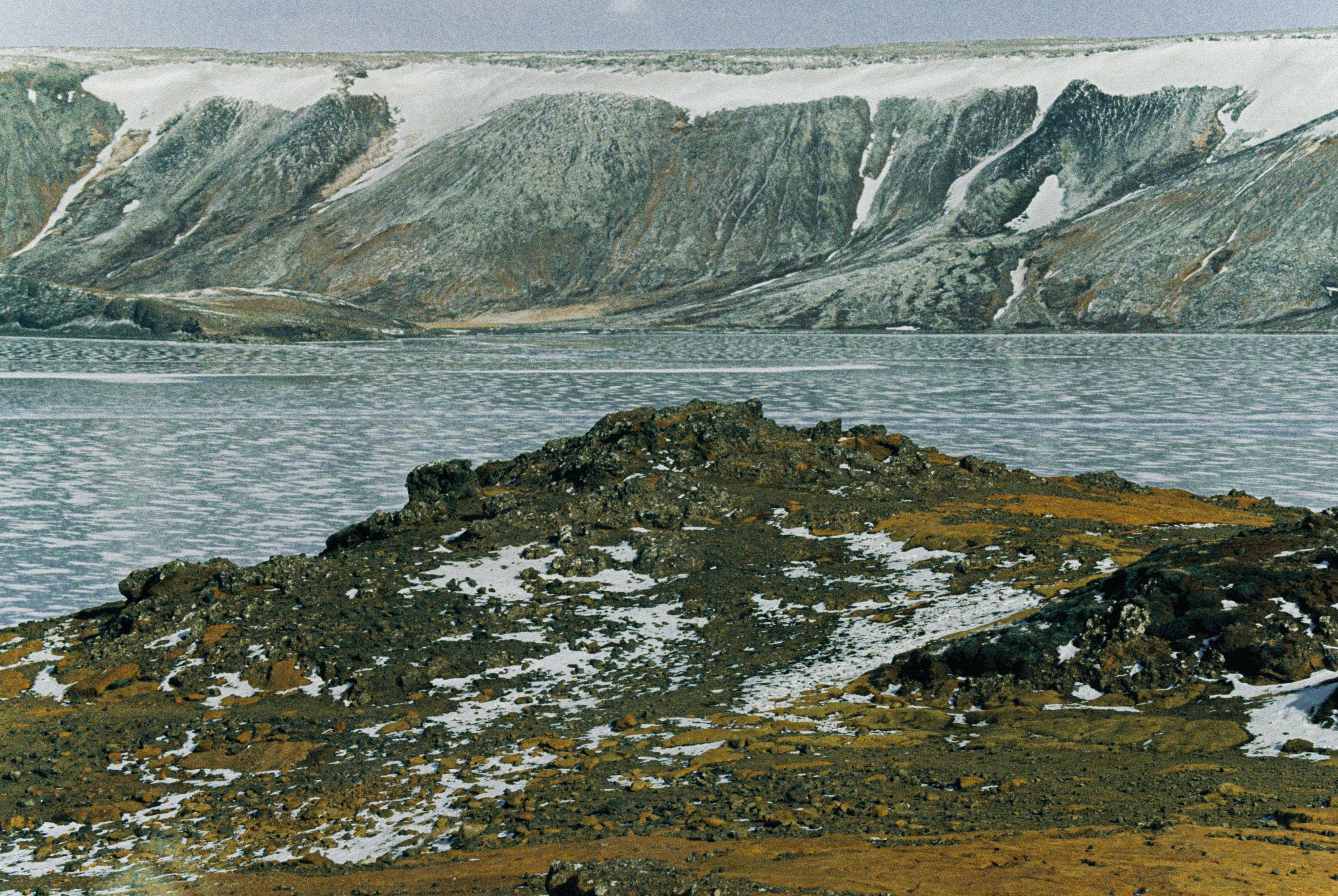 Photo by matyldagies